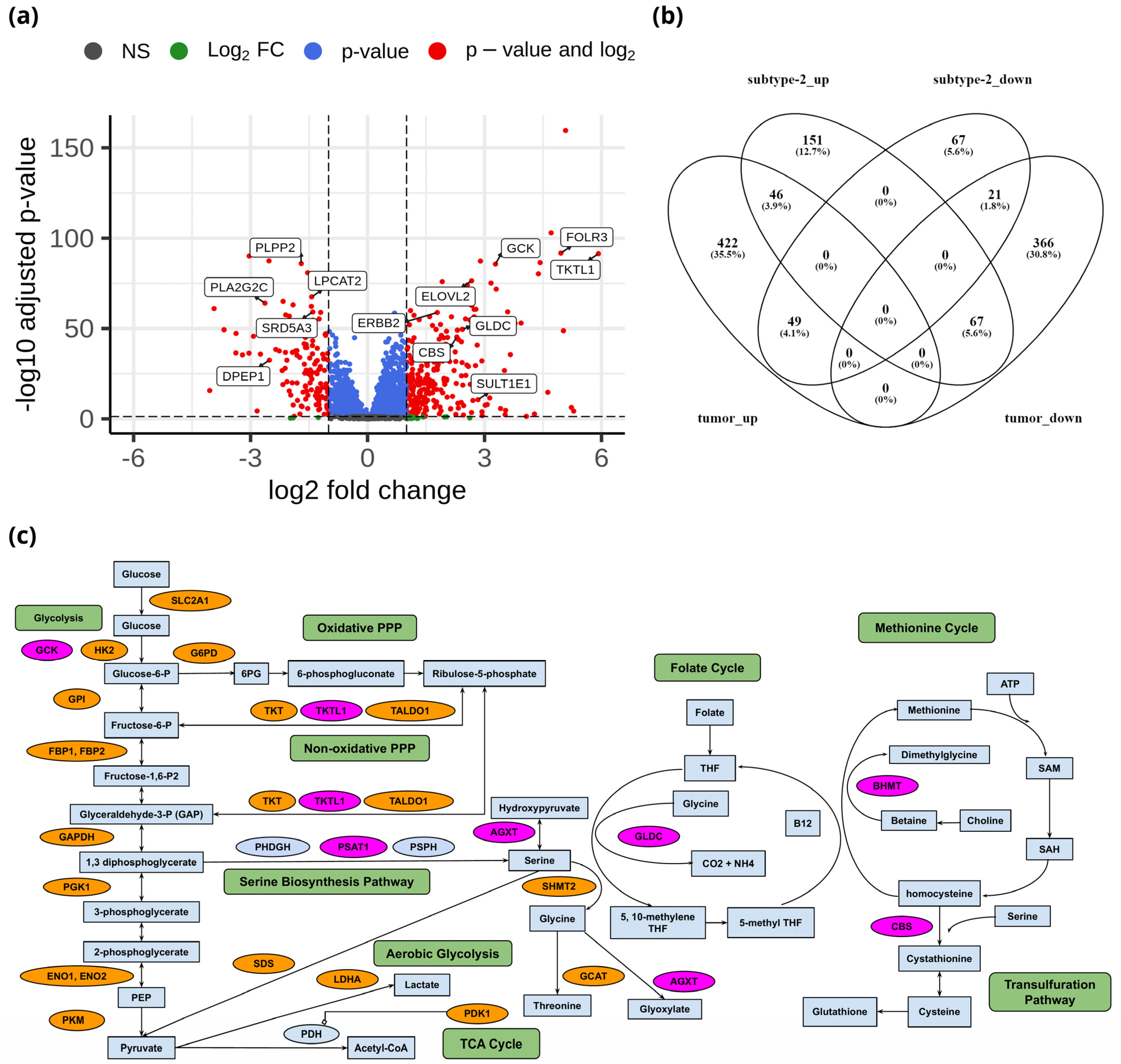 Metabolites 13 00409 g004