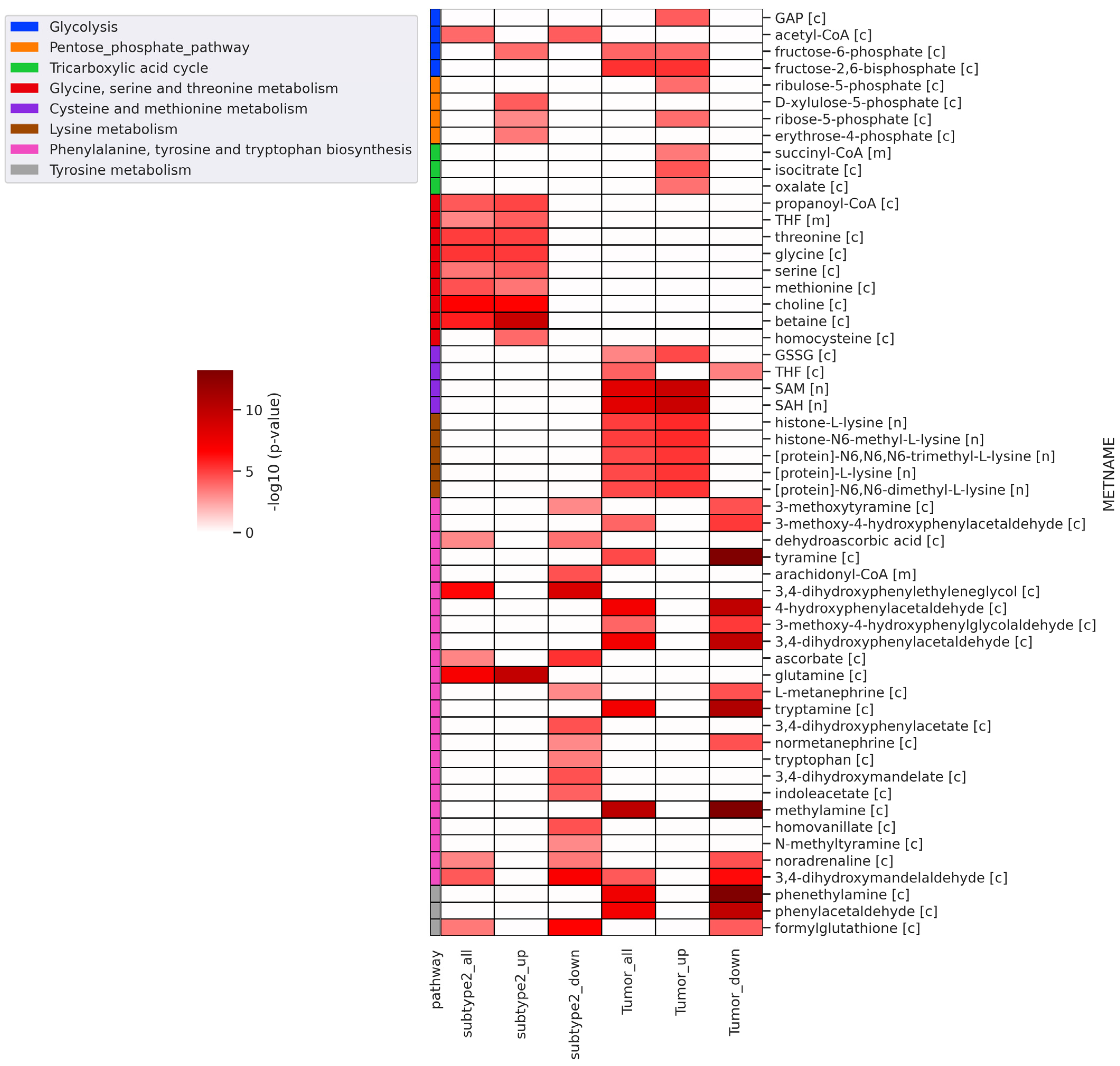 Metabolites 13 00409 g005