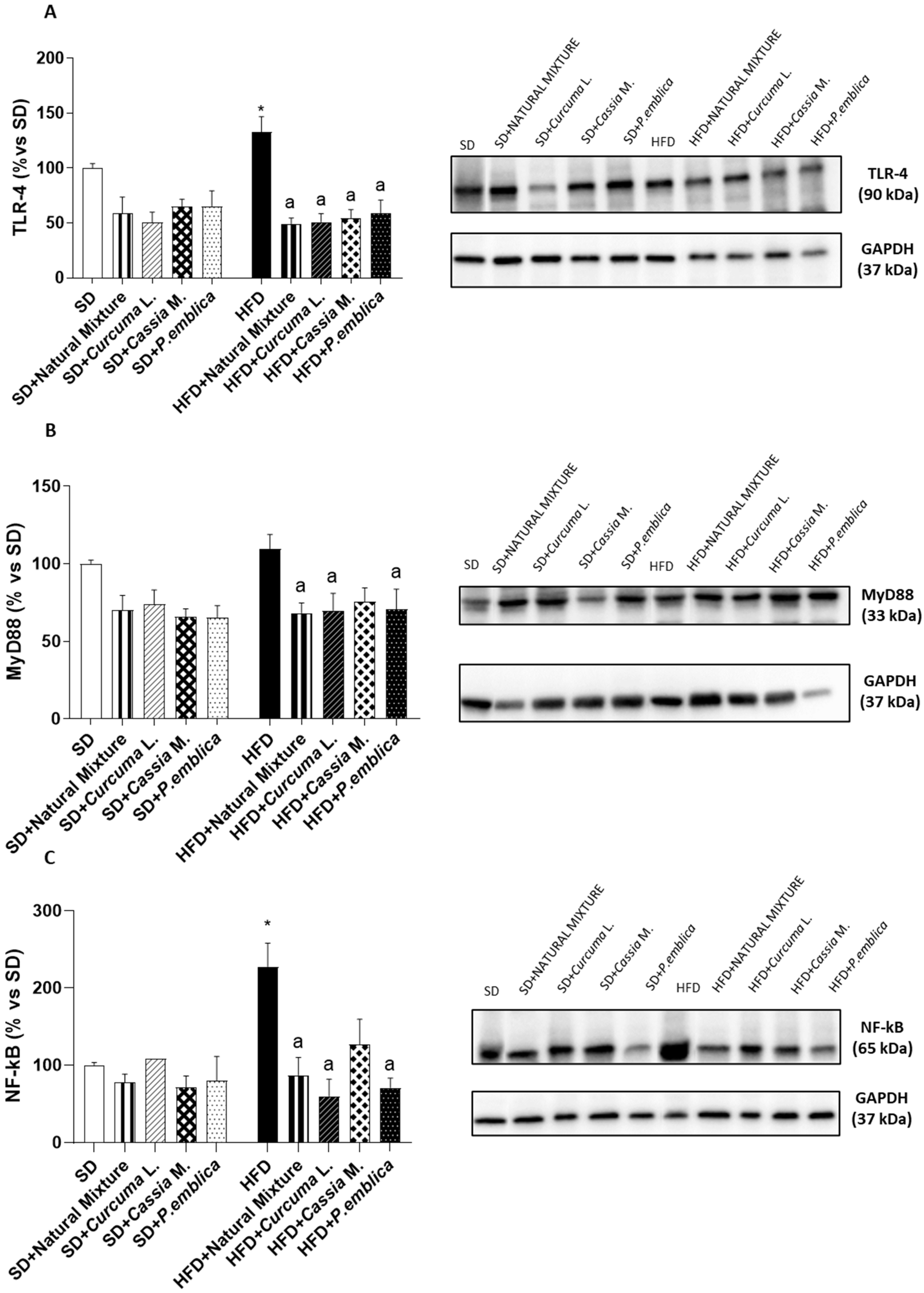 Metabolites 13 00410 g004