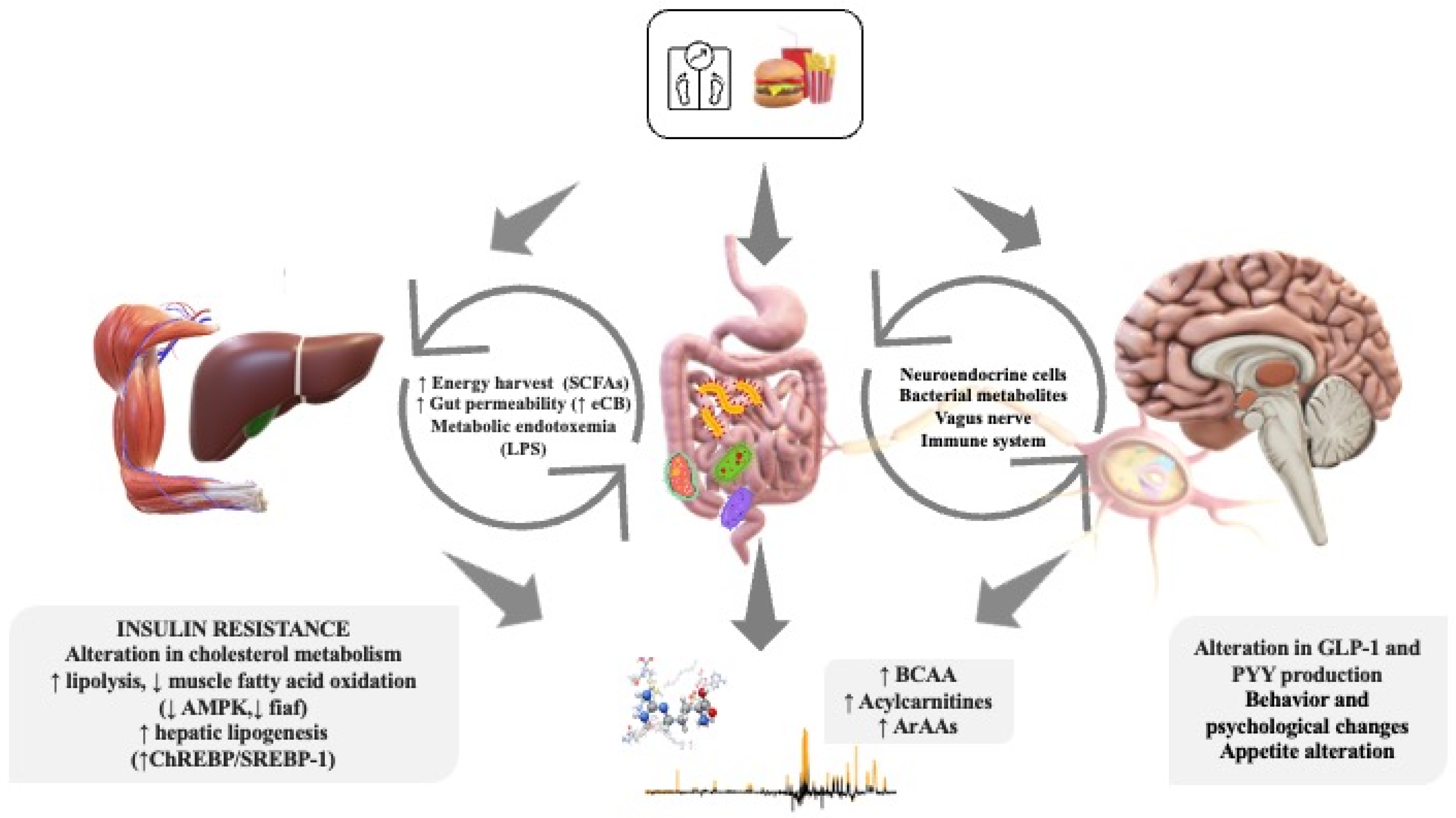 Metabolites 13 00414 g001