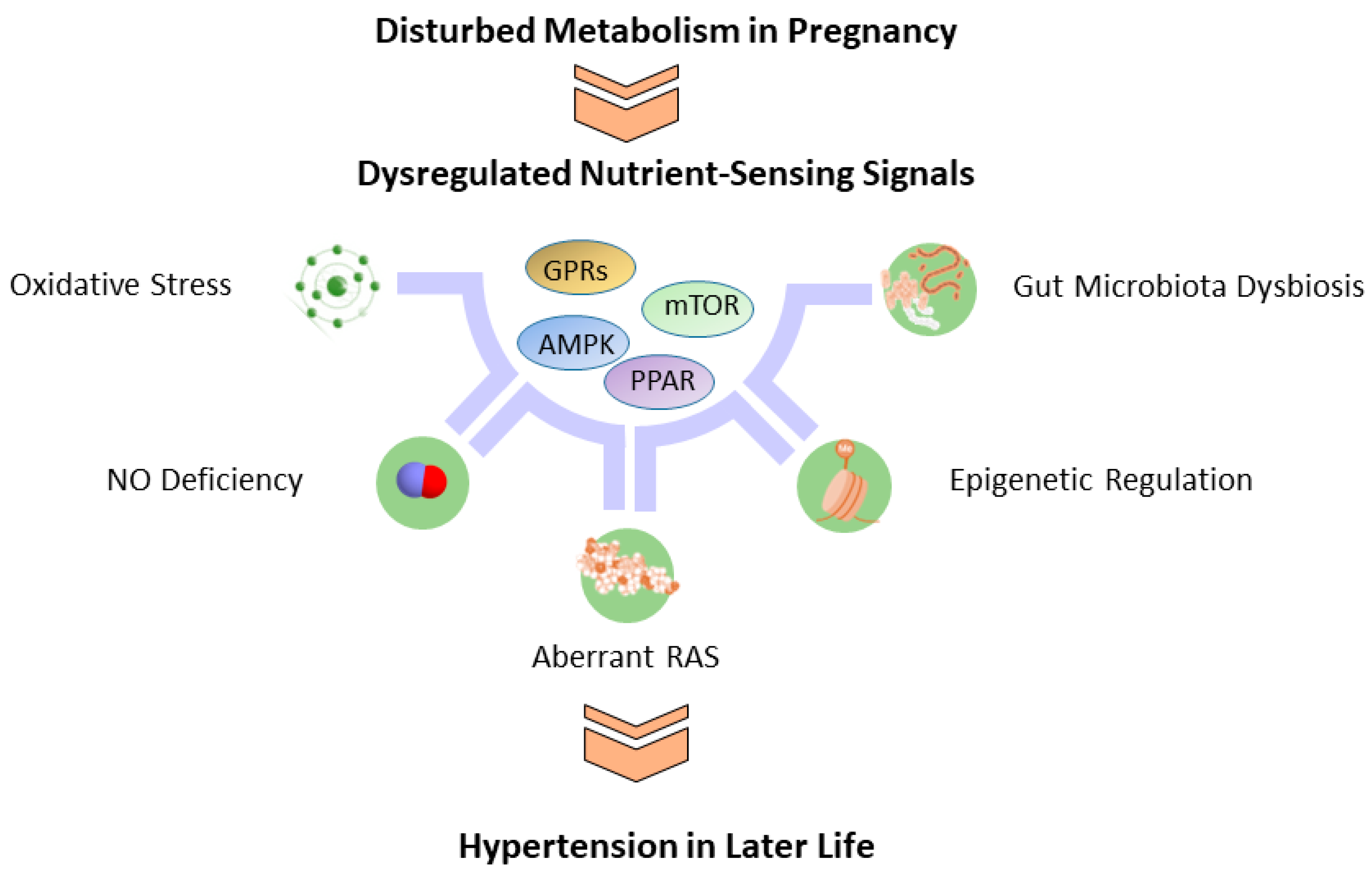 Metabolites 13 00418 g002
