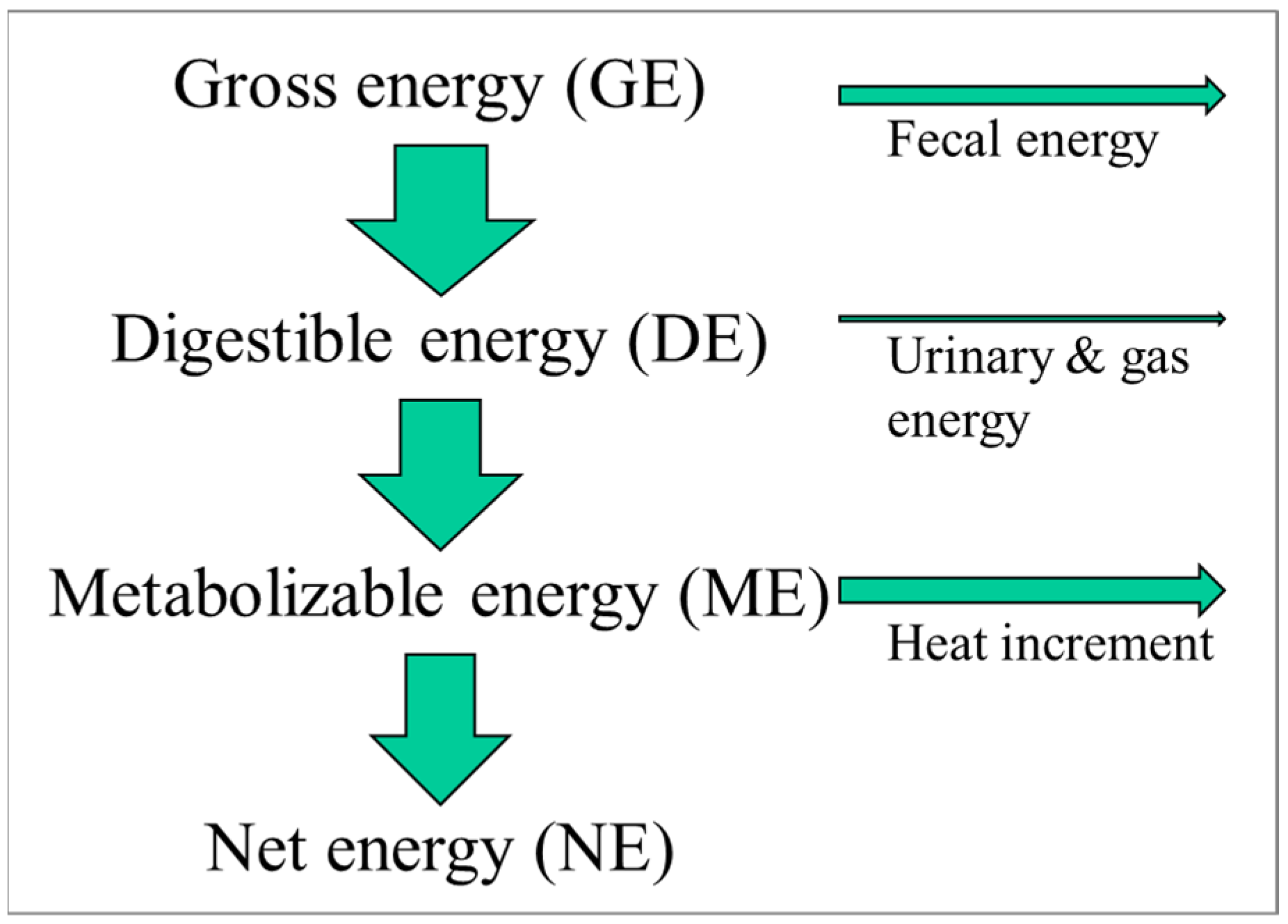 Metabolites 13 00420 g001