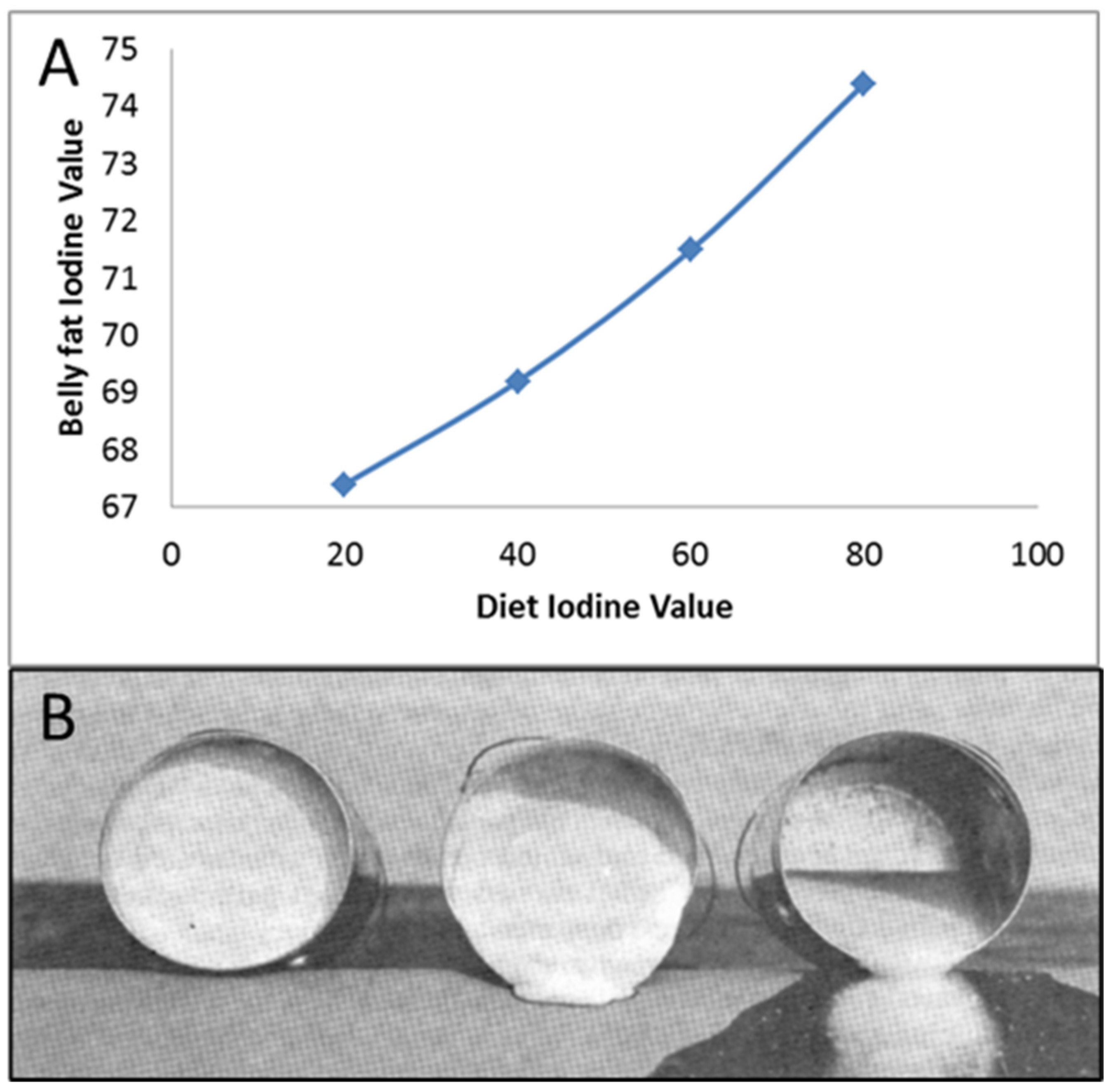 Metabolites 13 00420 g017