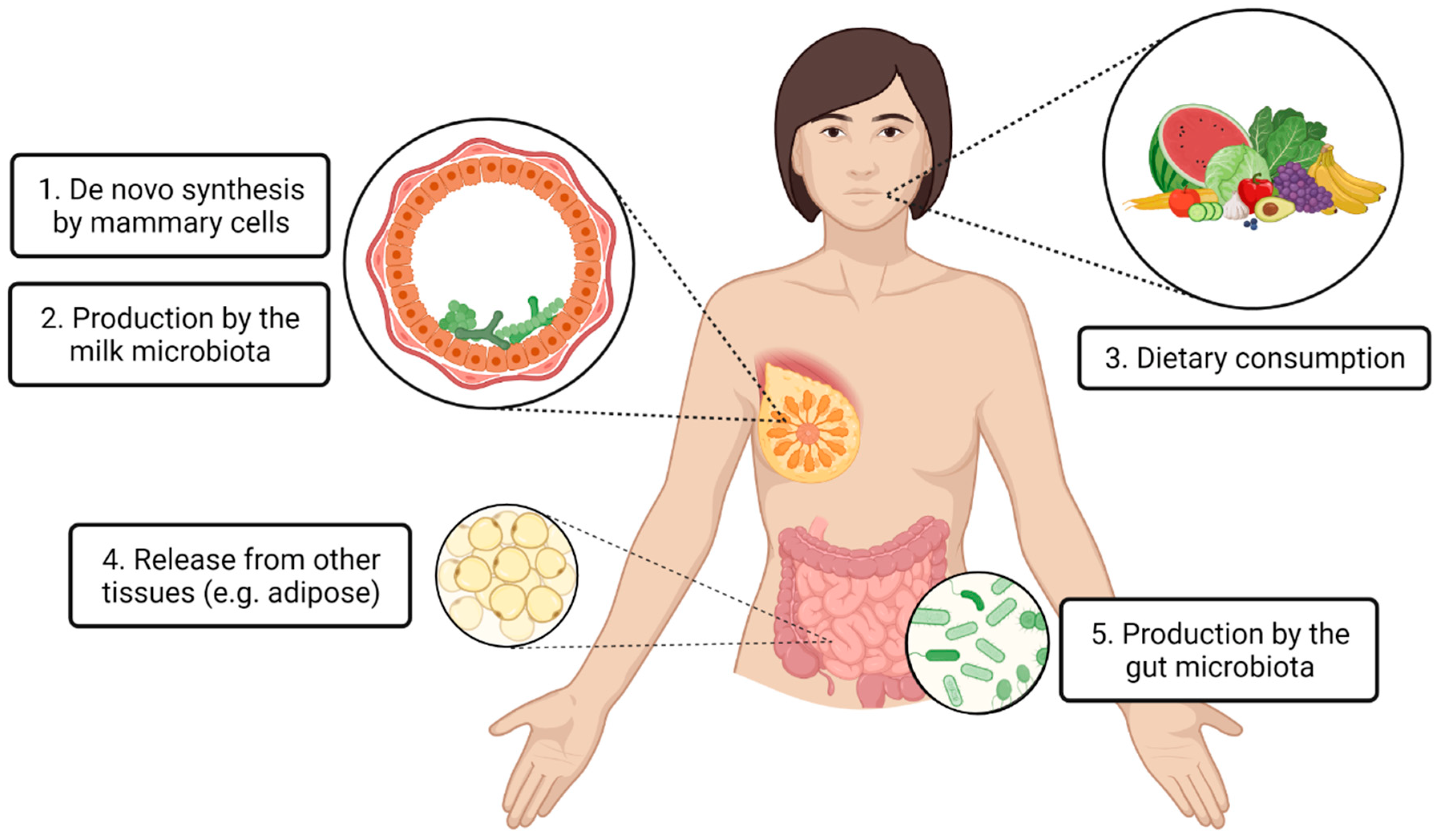 Metabolites 13 00422 g001