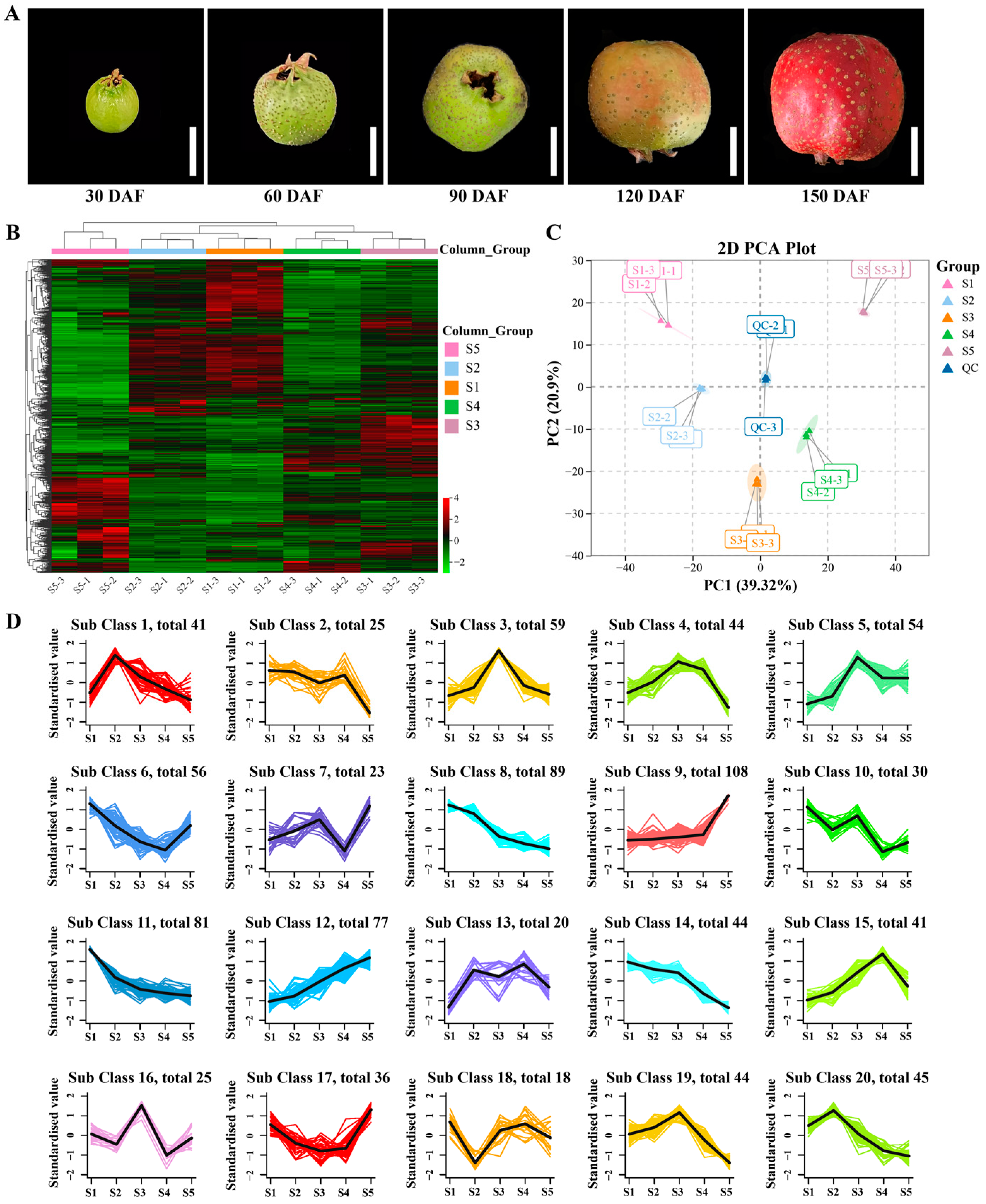 Metabolites 13 00423 g001