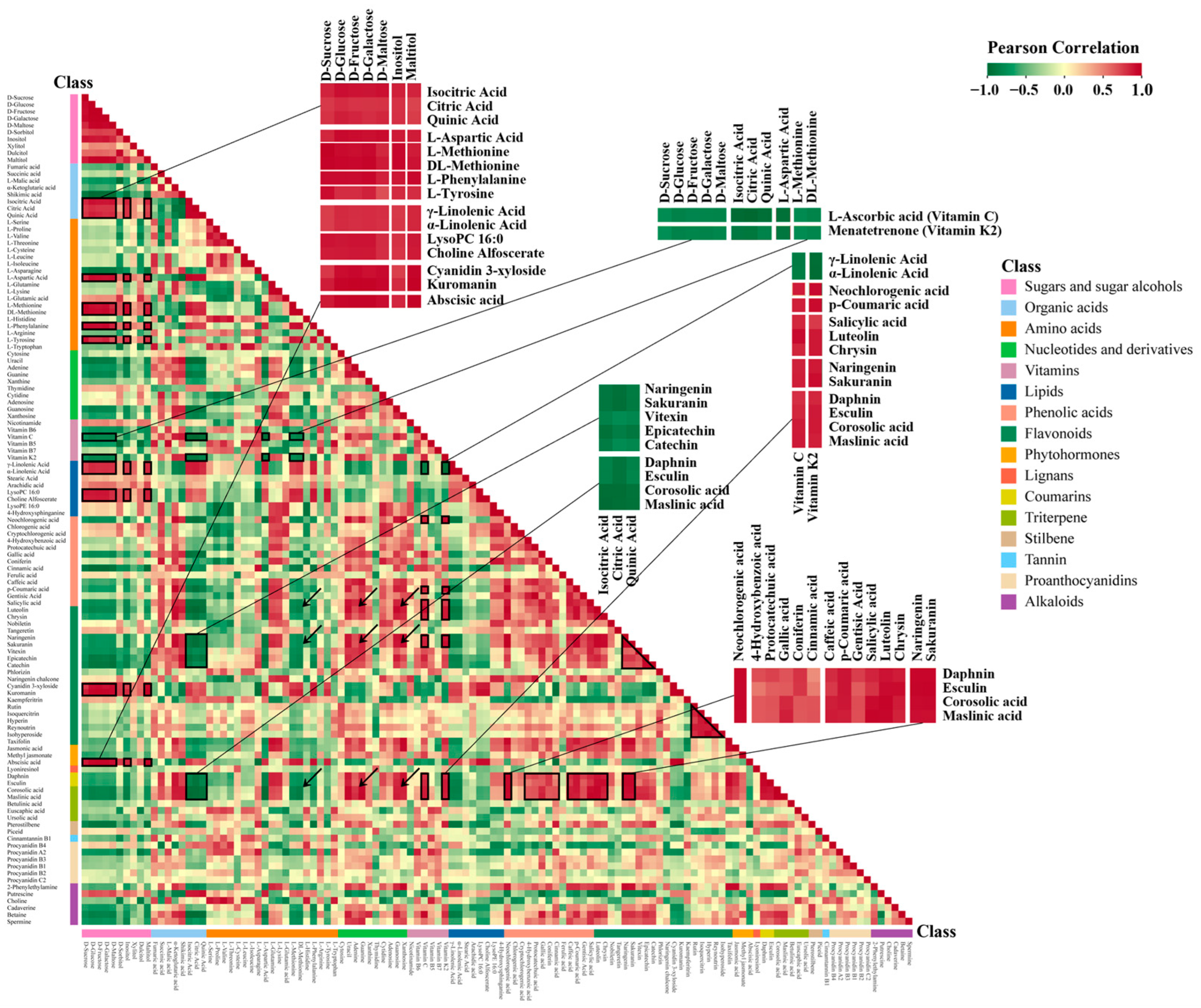 Metabolites 13 00423 g008