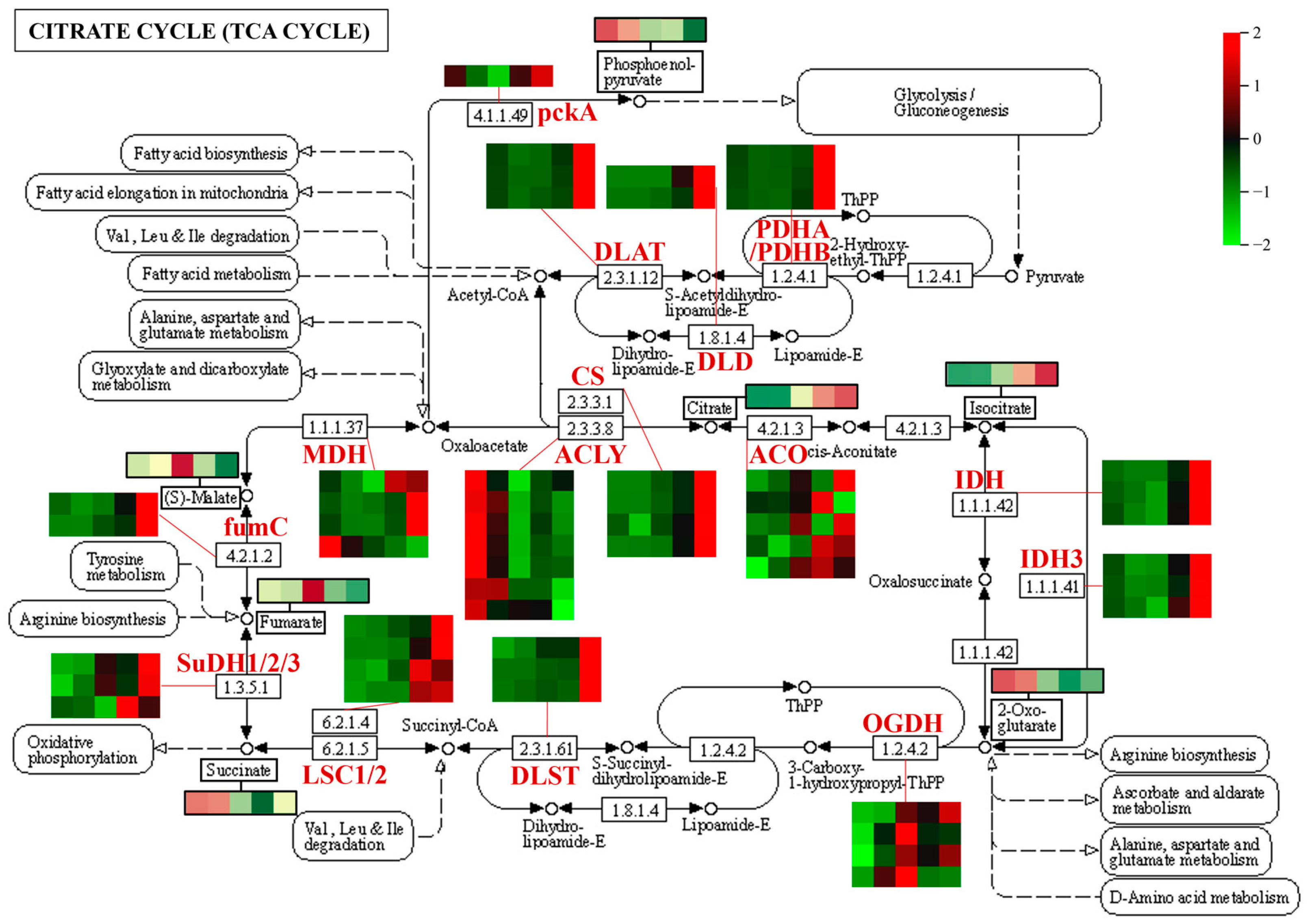 Metabolites 13 00423 g010