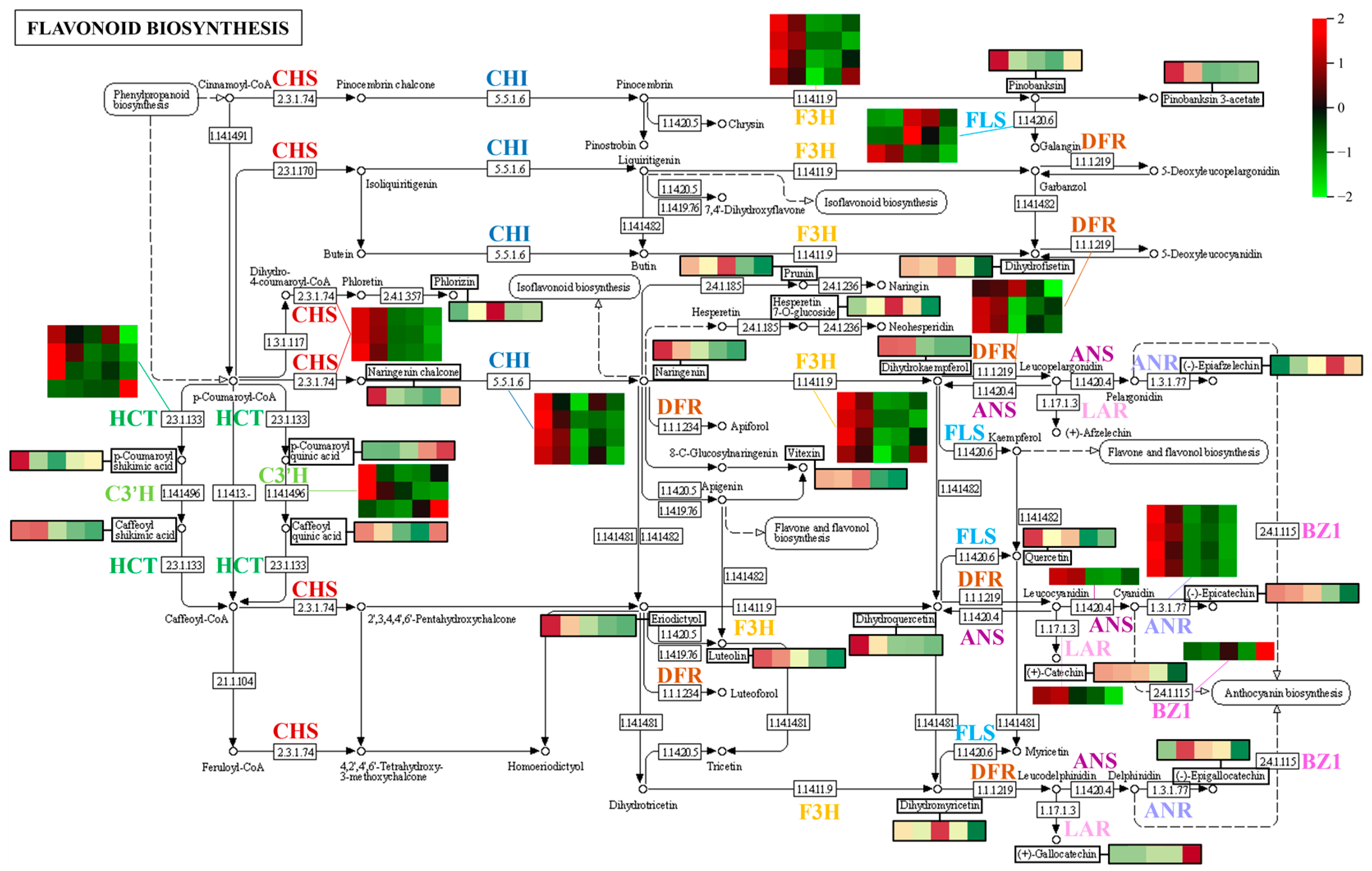 Metabolites 13 00423 g011