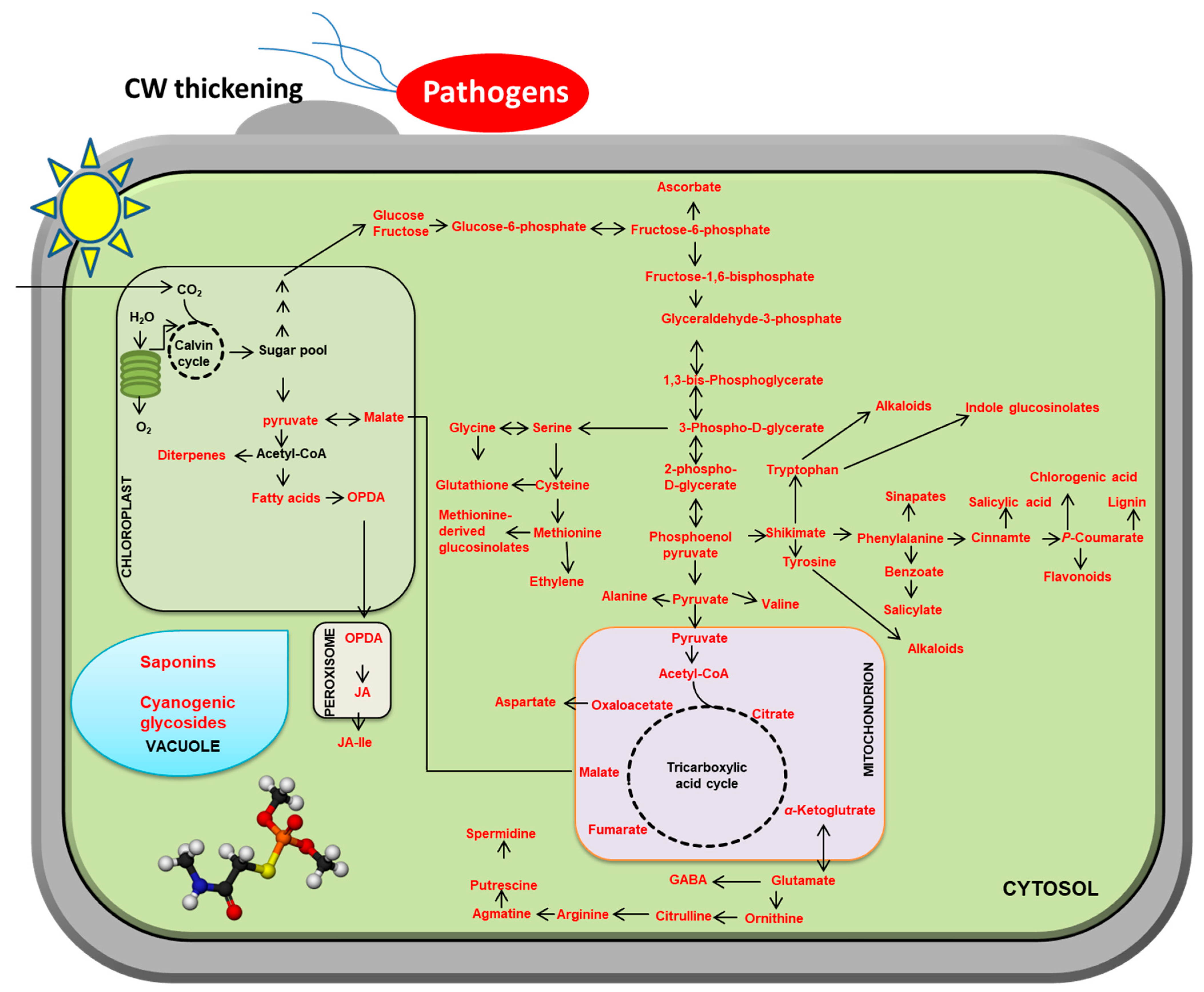 Metabolites 13 00424 g002
