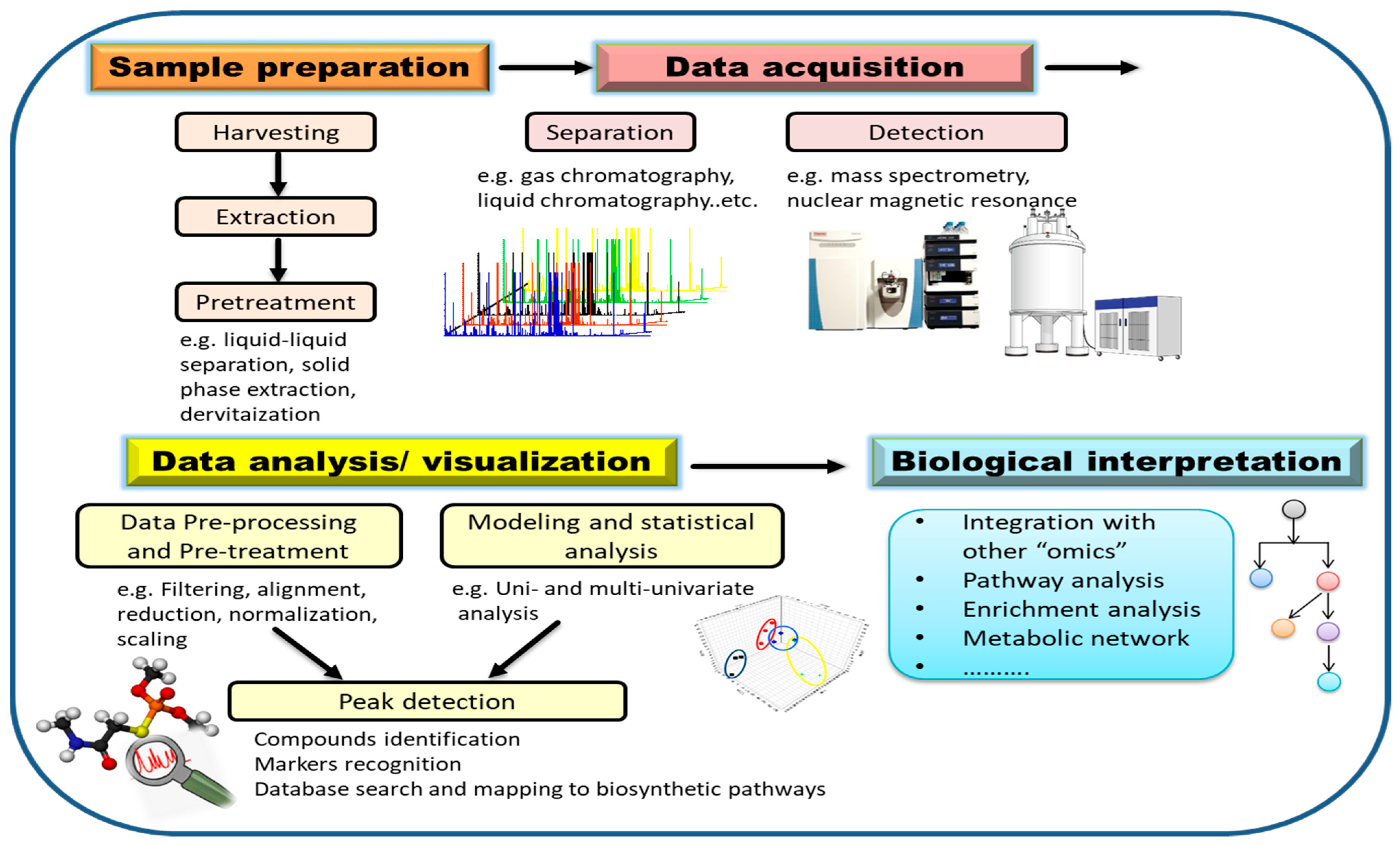 Metabolites 13 00424 g004