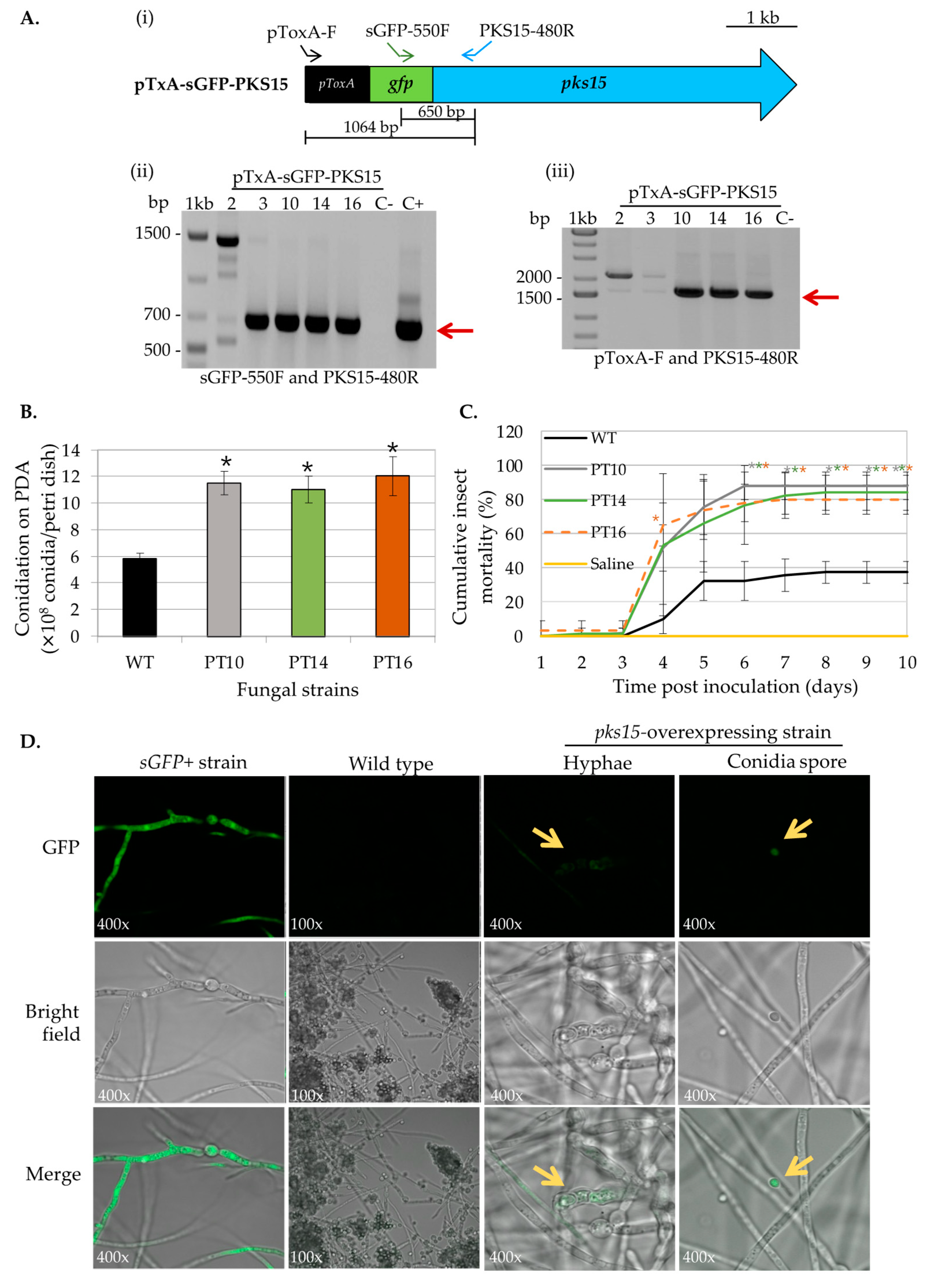 Metabolites 13 00425 g002