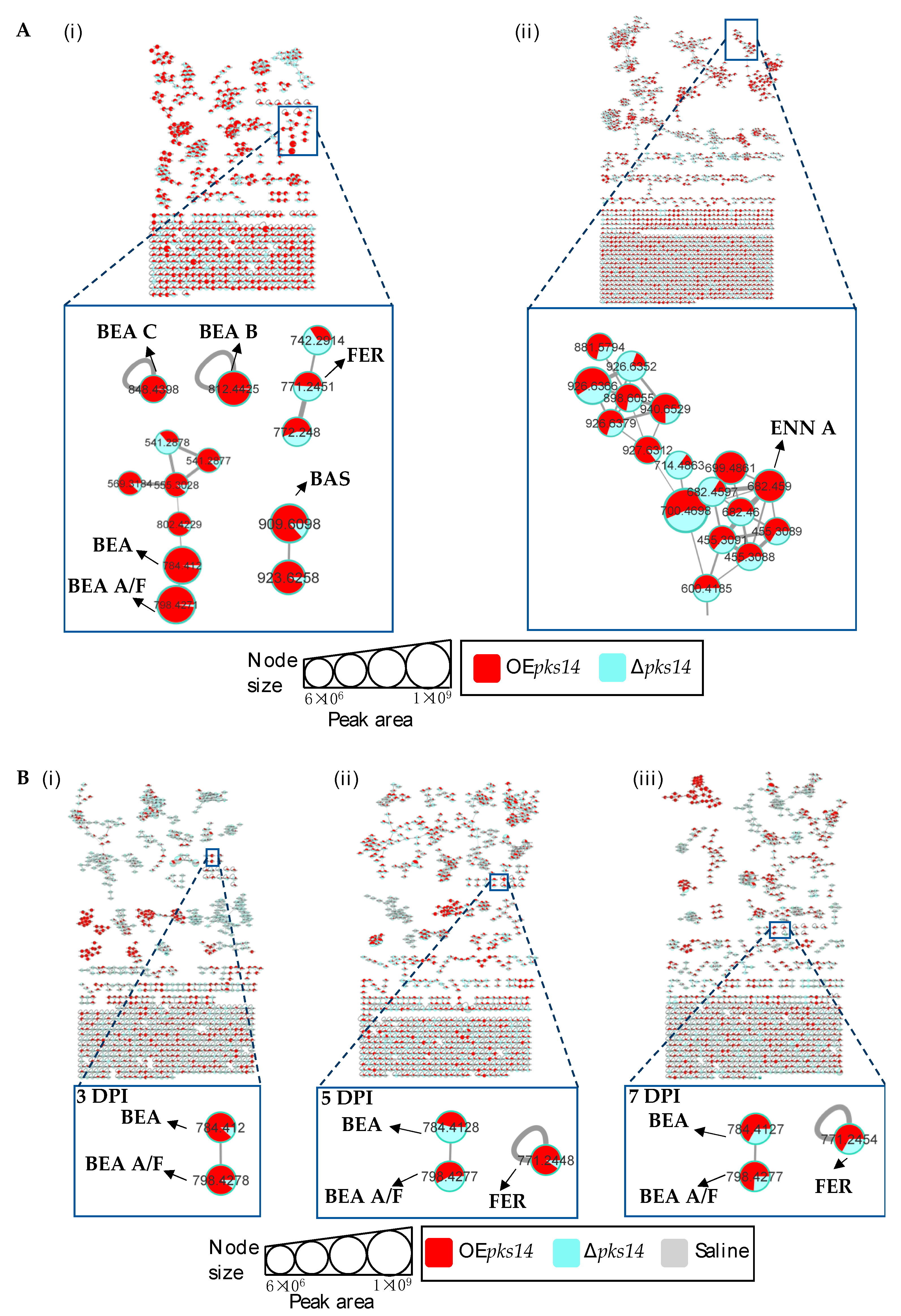 Metabolites 13 00425 g004