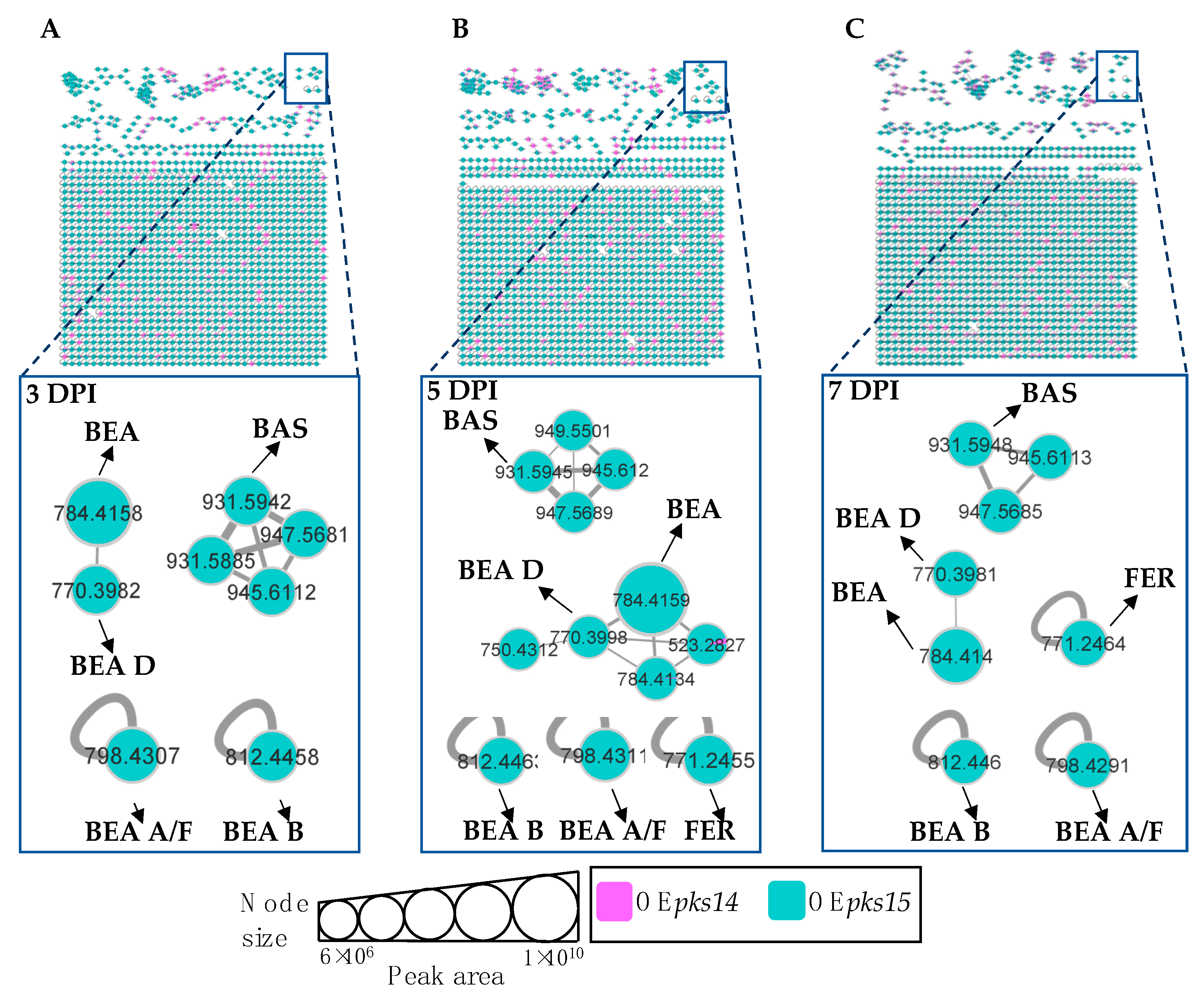 Metabolites 13 00425 g007