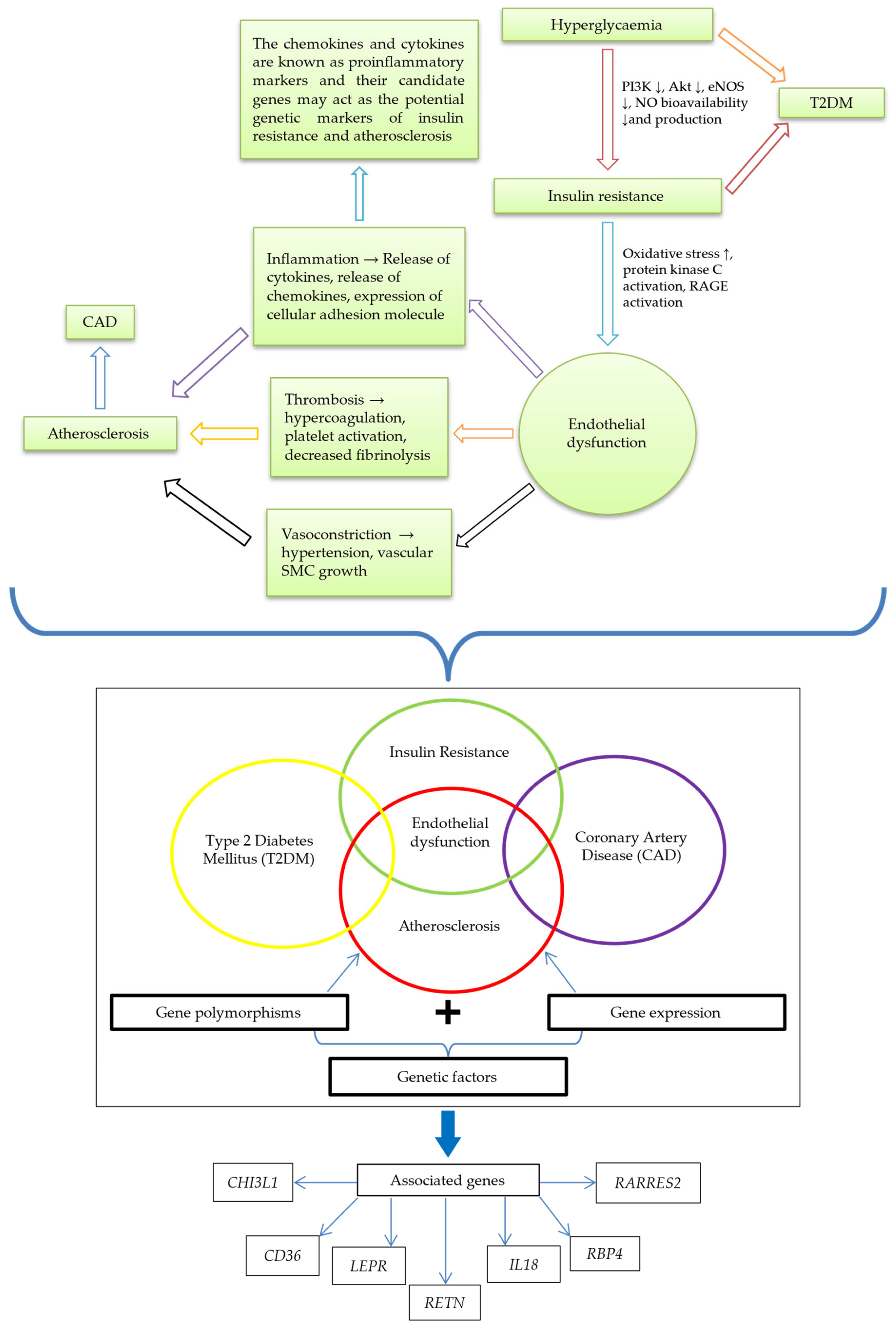 Metabolites 13 00427 g003