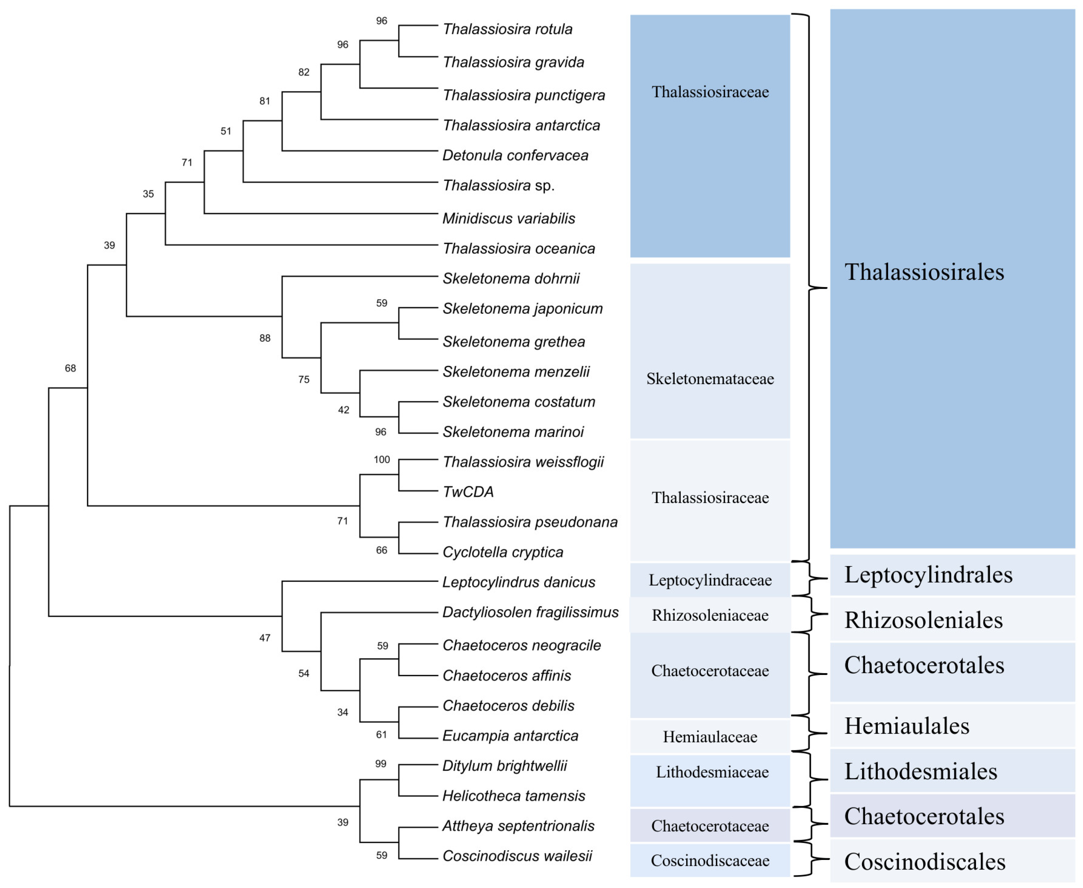 Metabolites 13 00429 g003