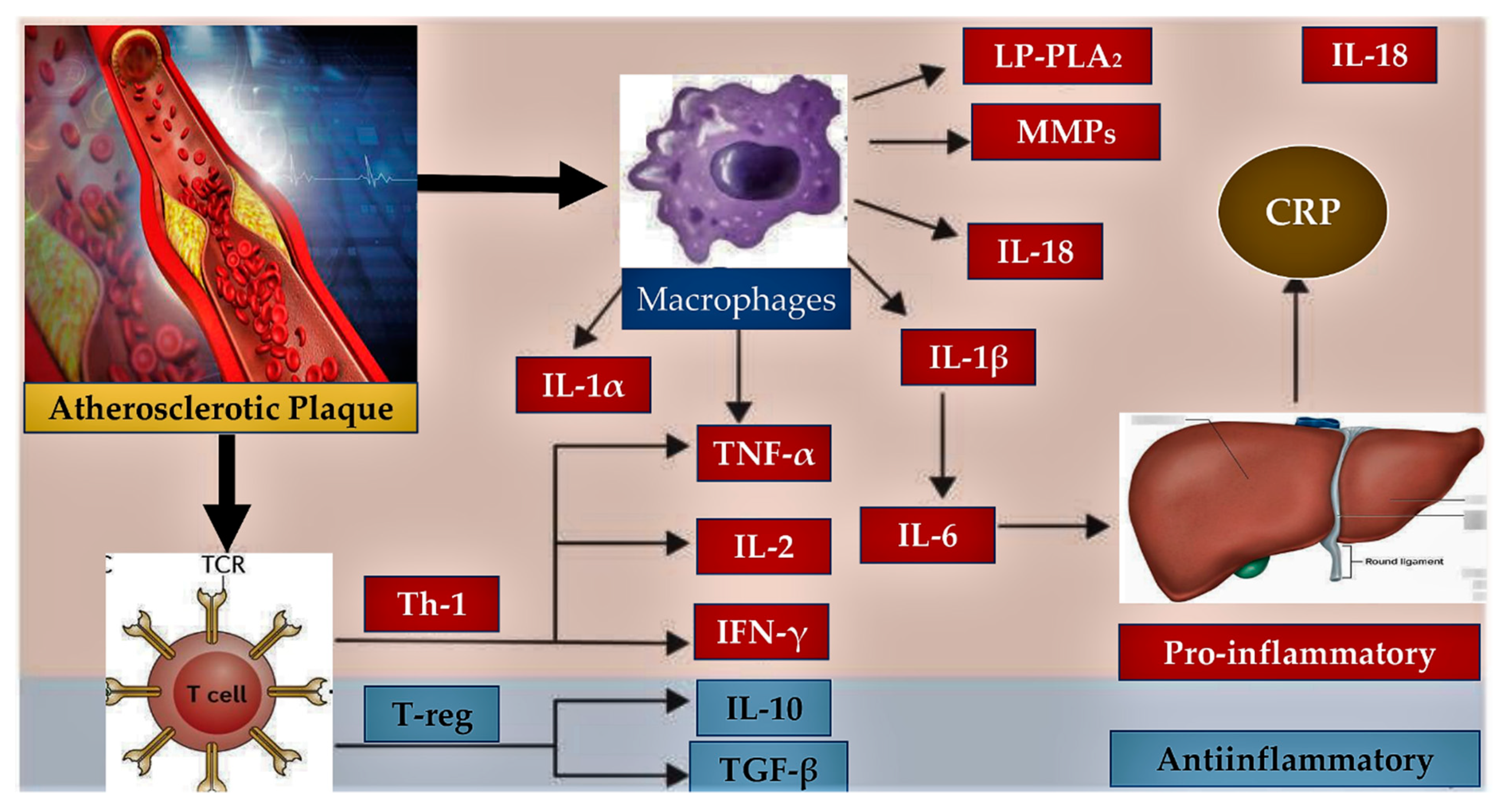 Metabolites 13 00430 g002