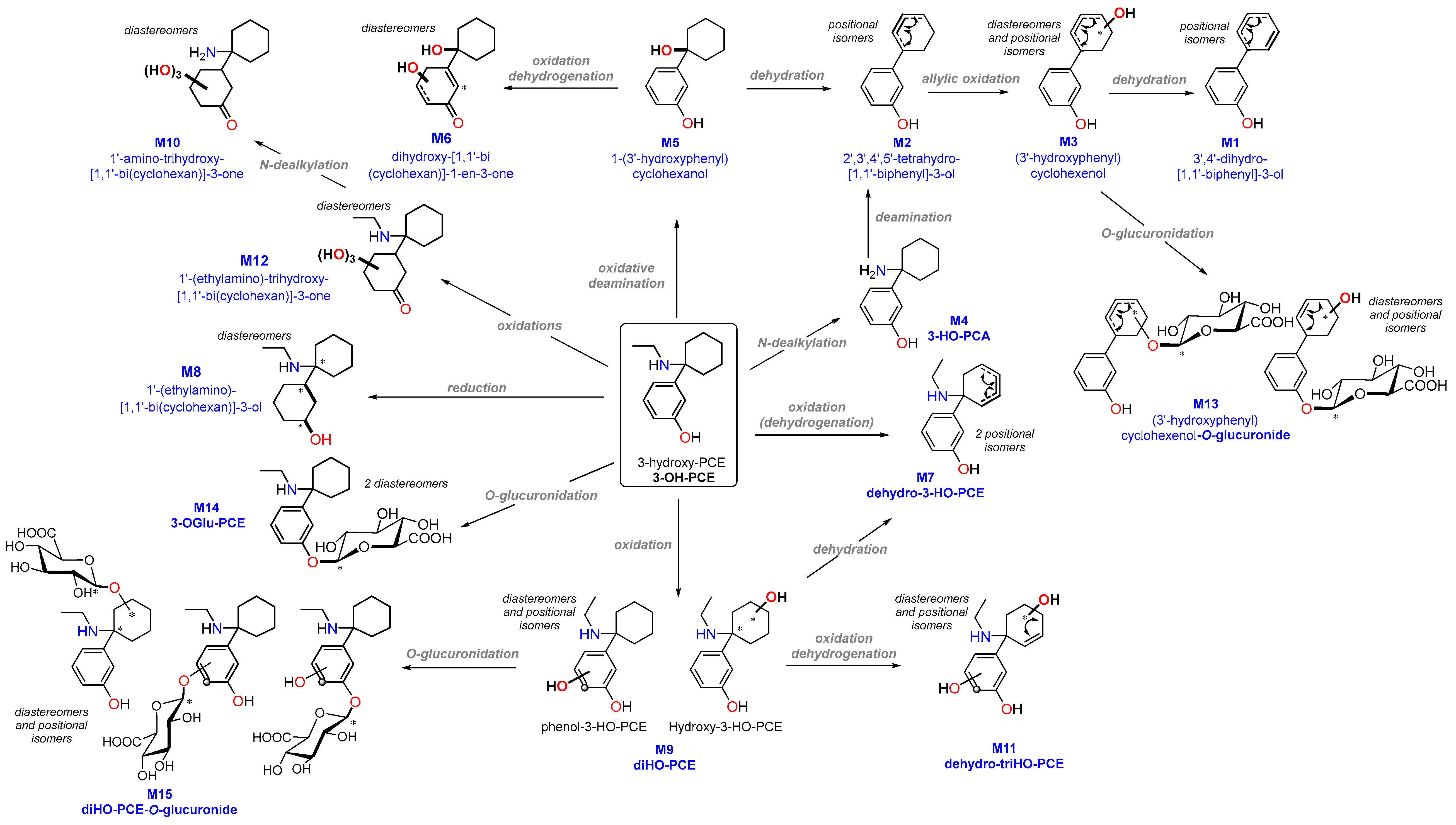 Metabolites 13 00432 g002 Metabolites 13 00432 g002