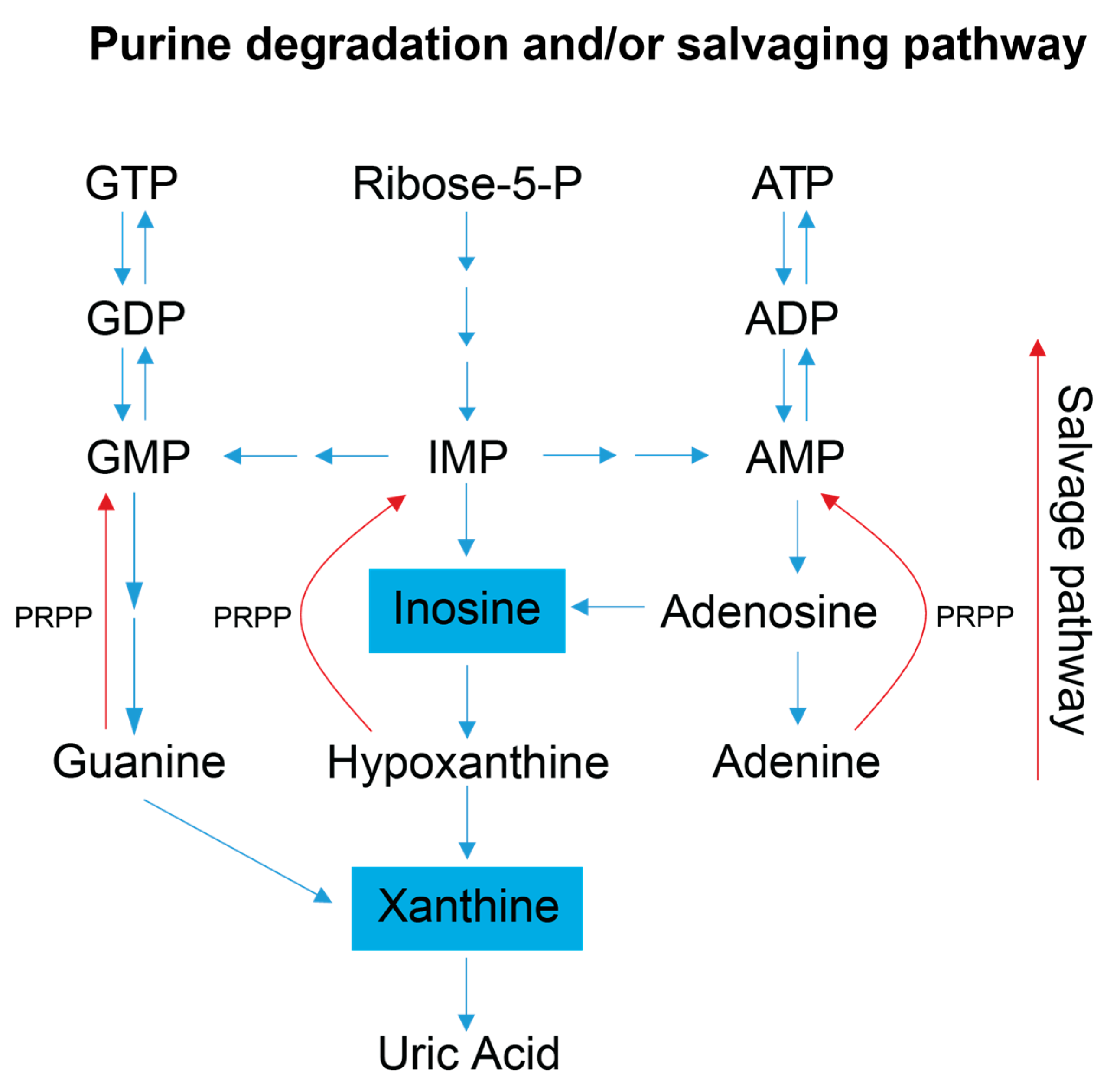 Metabolites 13 00433 g004