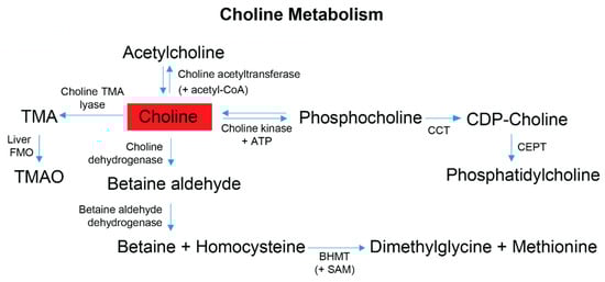Metabolites 13 00433 g005