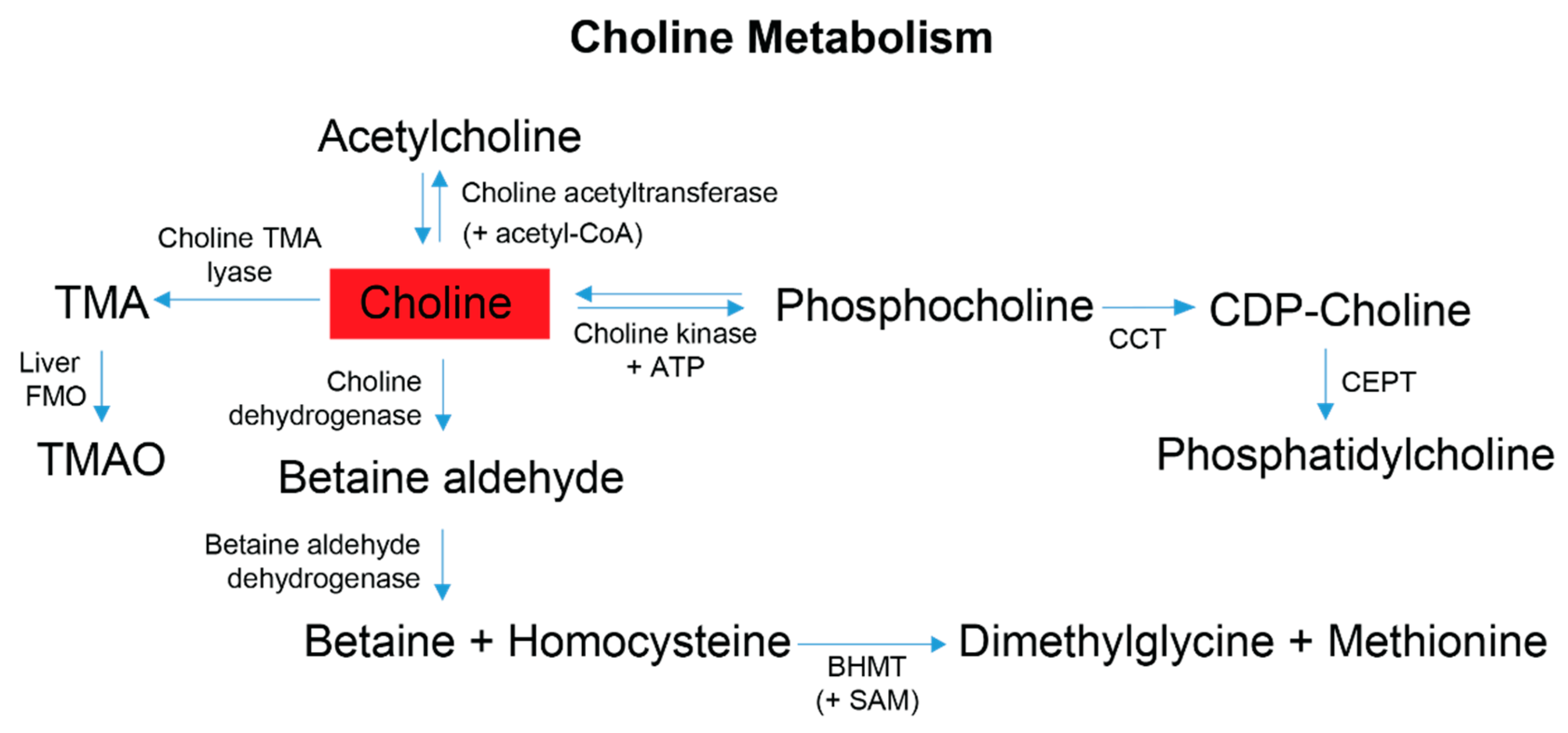Metabolites 13 00433 g005