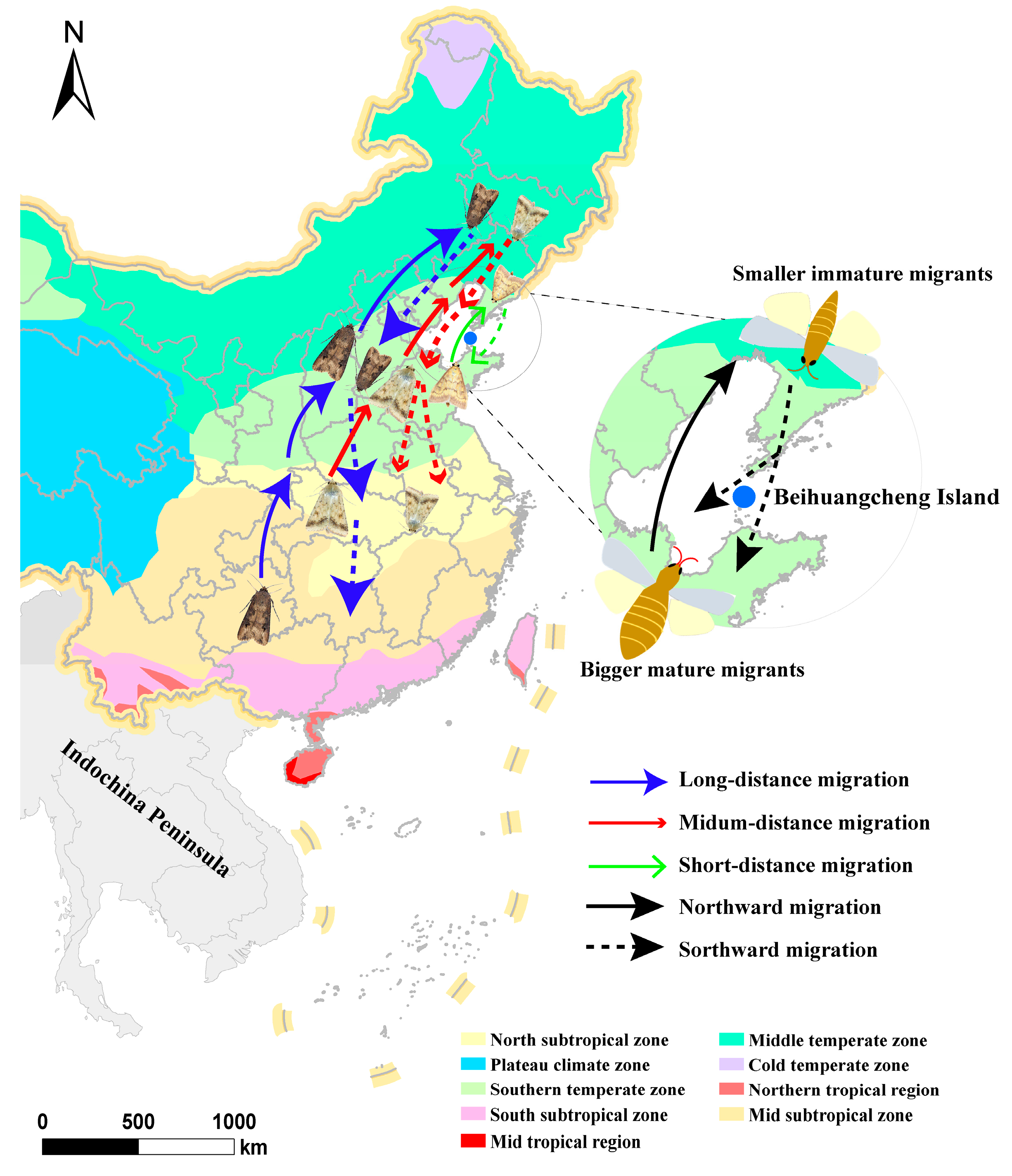 Metabolites 13 00439 g001