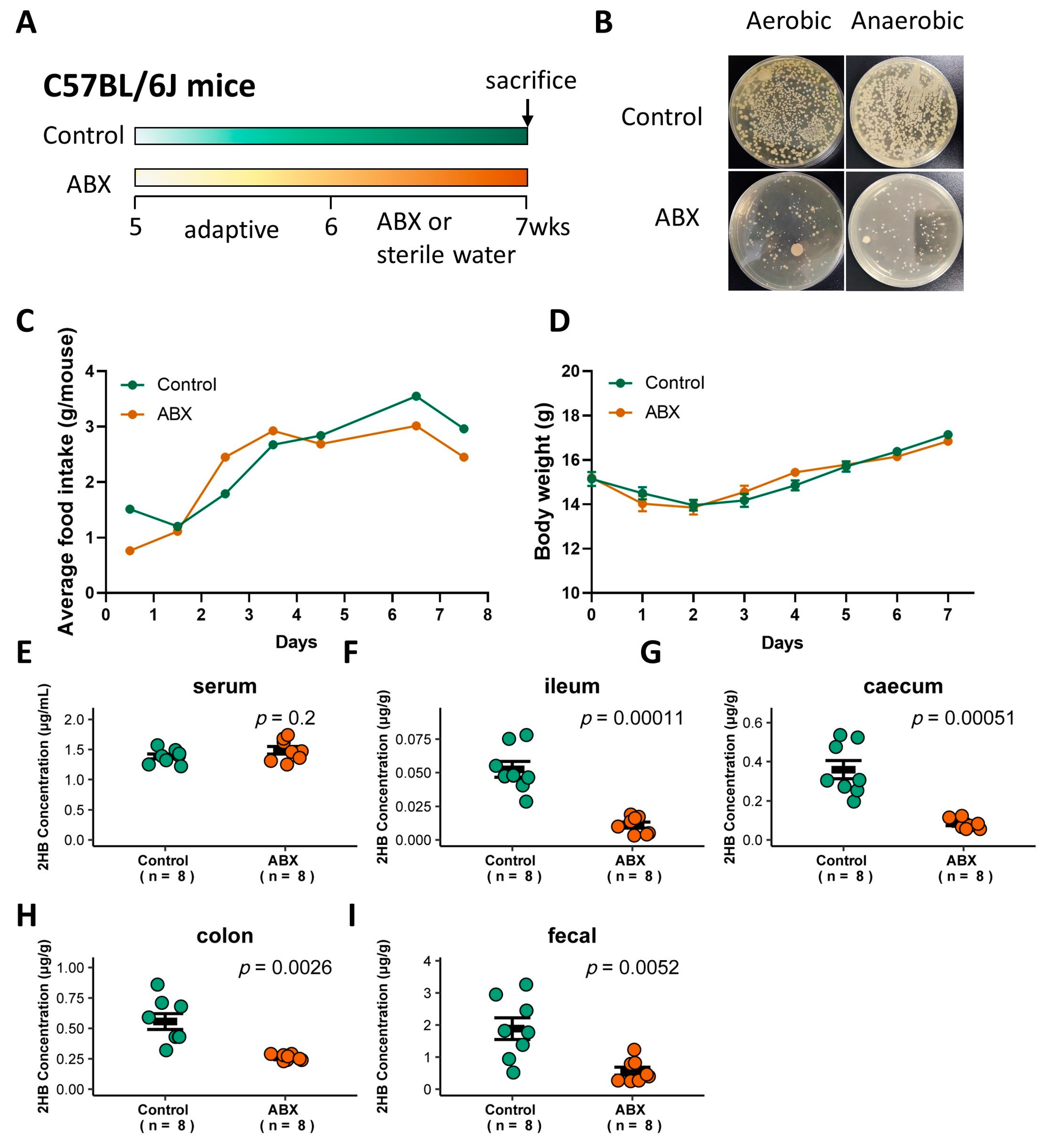 Metabolites 13 00451 g003