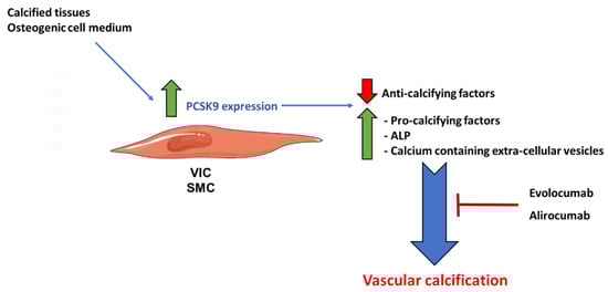 Metabolites 13 00457 g002