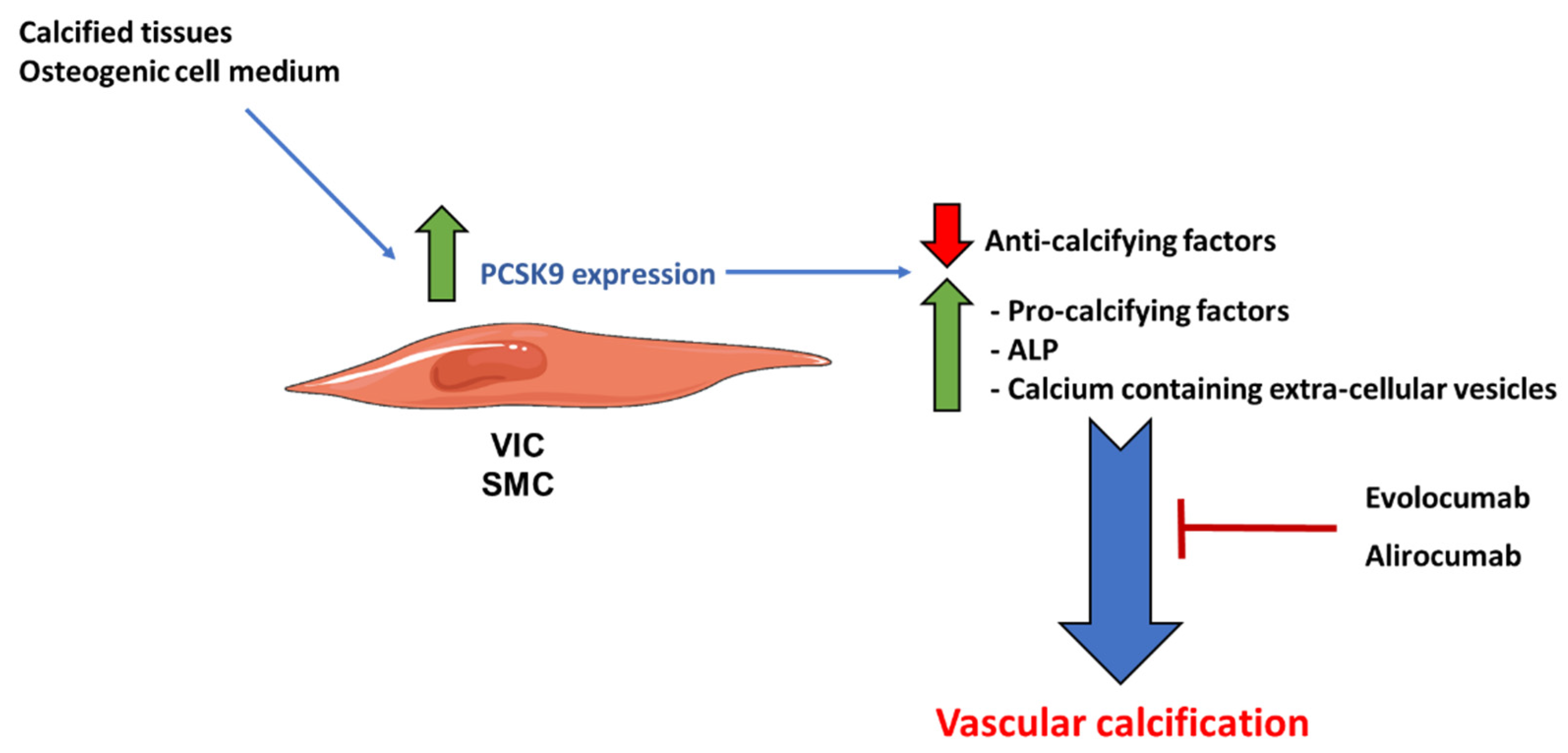 Metabolites 13 00457 g002 Metabolites 13 00457 g002