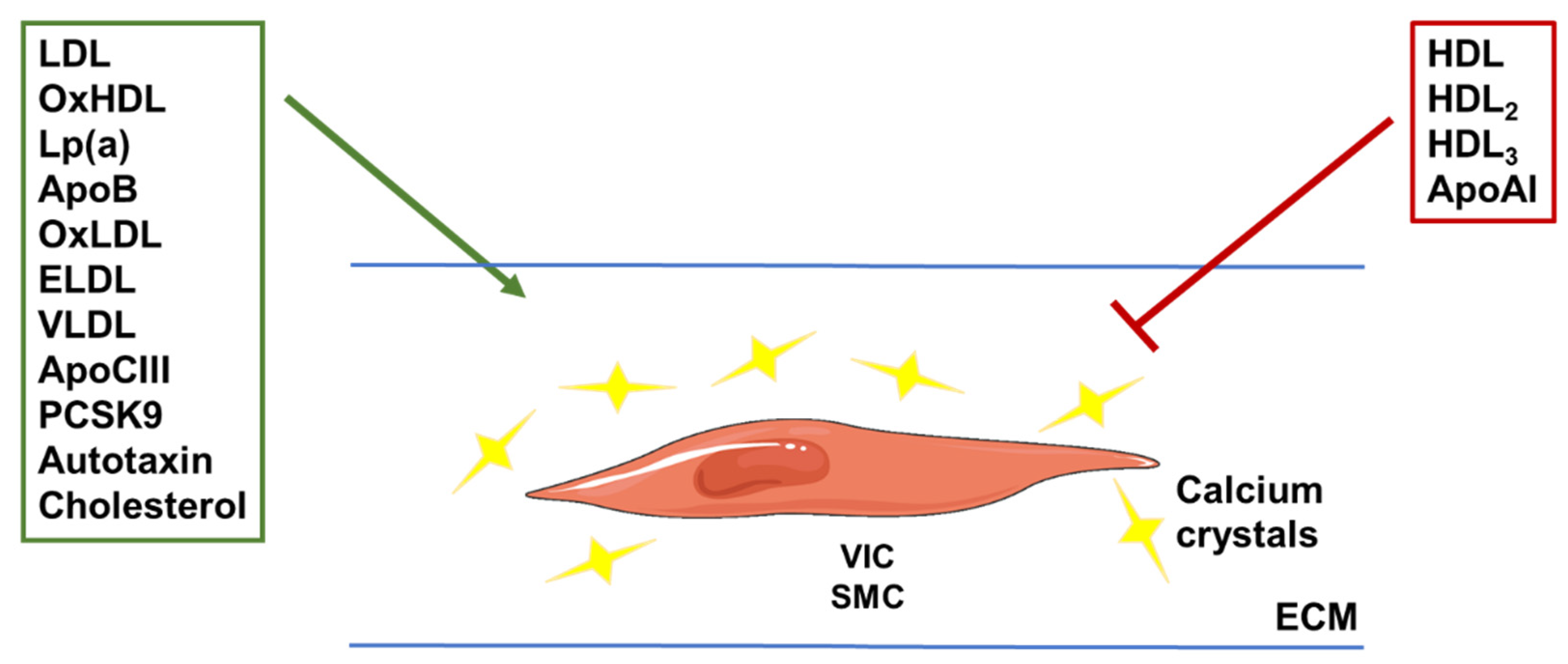 Metabolites 13 00457 g003 Metabolites 13 00457 g003