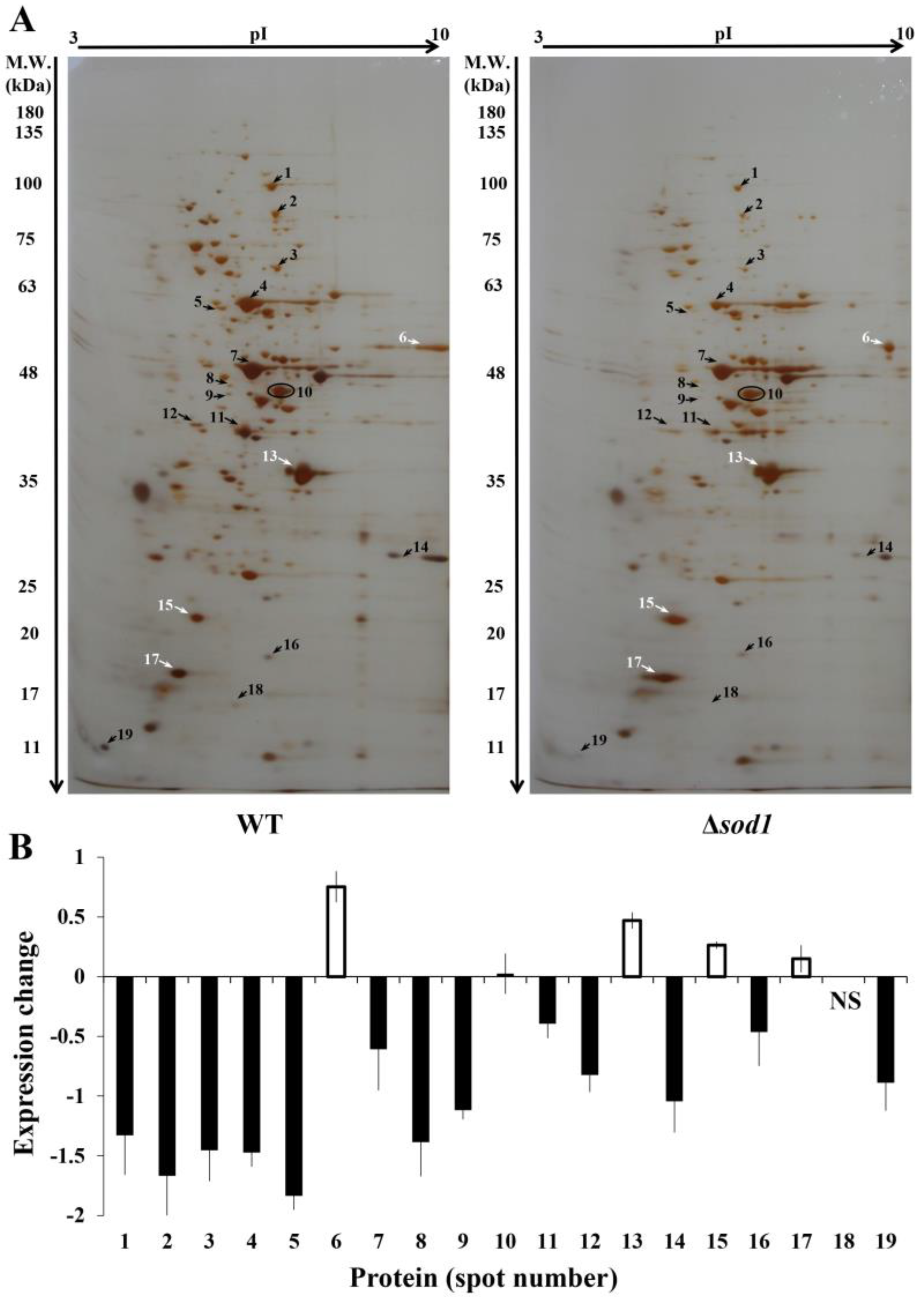 Metabolites 13 00459 g001 Metabolites 13 00459 g001