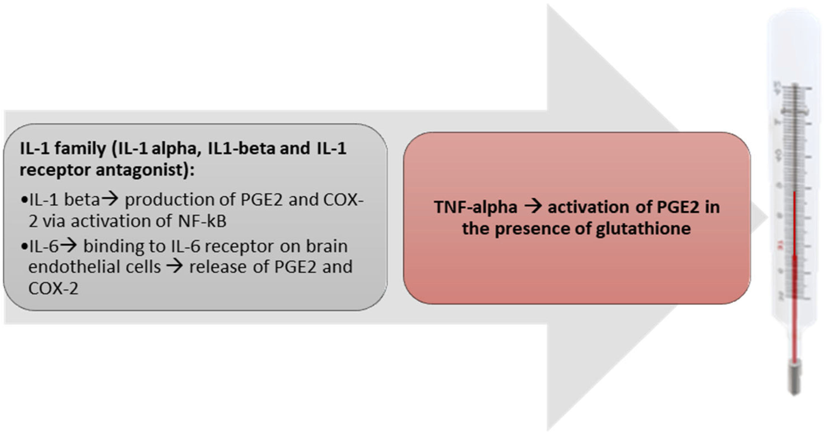 Metabolites 13 00461 g002