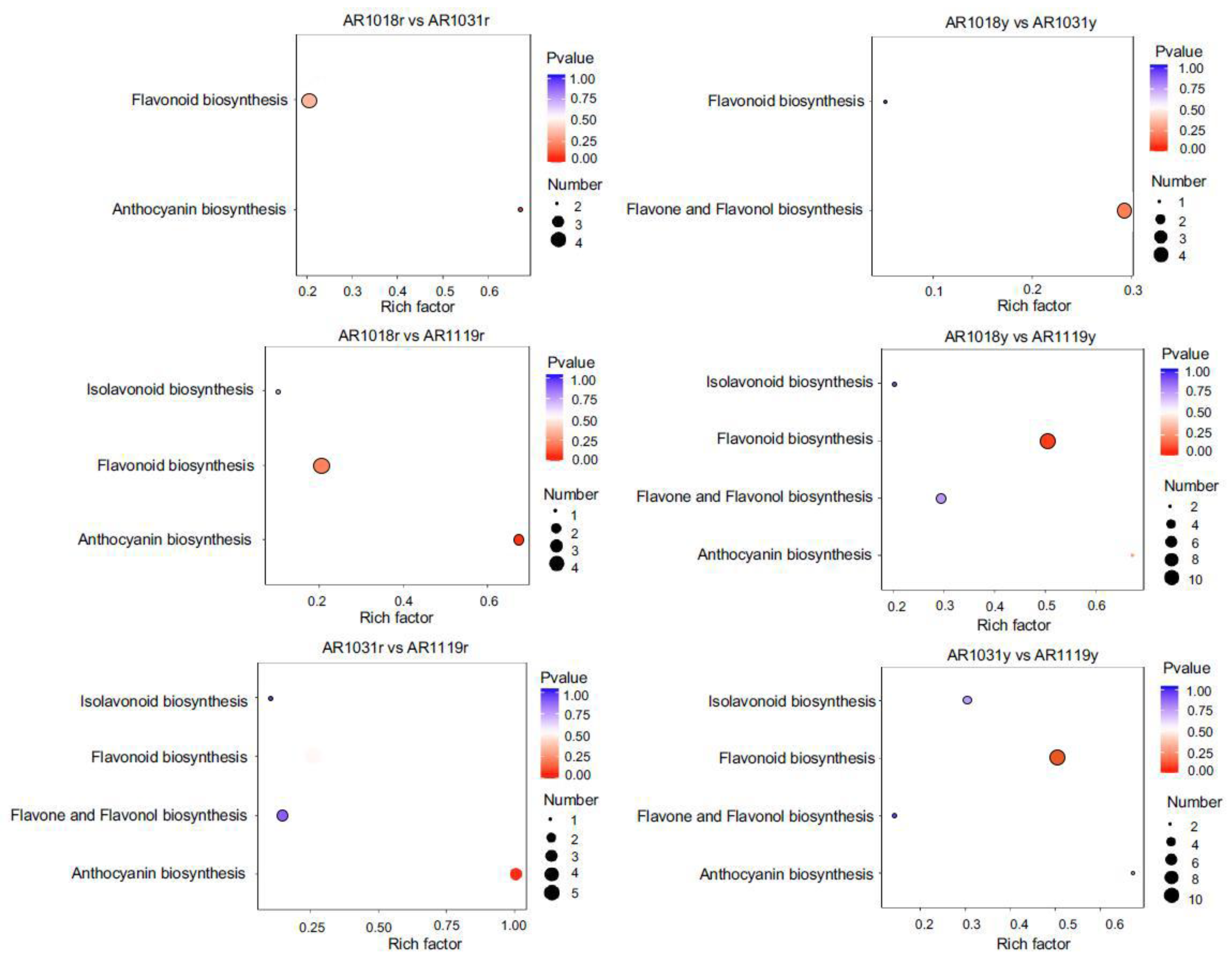 Metabolites 13 00464 g005