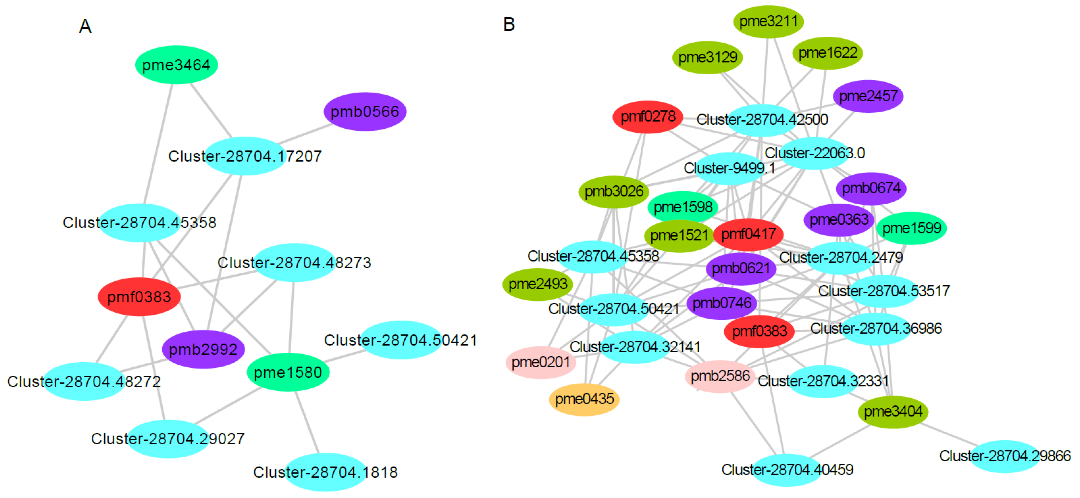 Metabolites 13 00464 g010