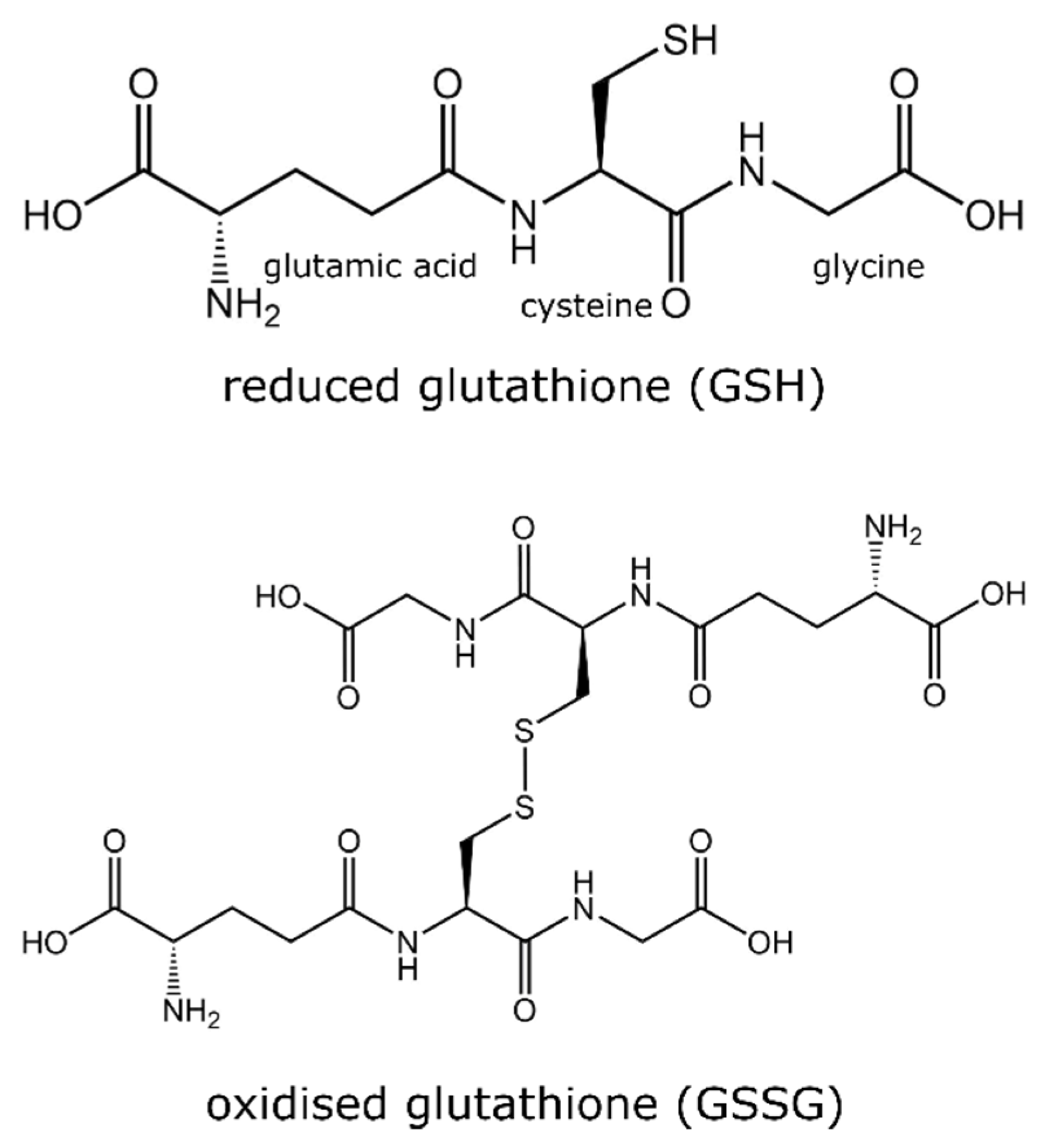 Metabolites 13 00465 g001 Metabolites 13 00465 g001