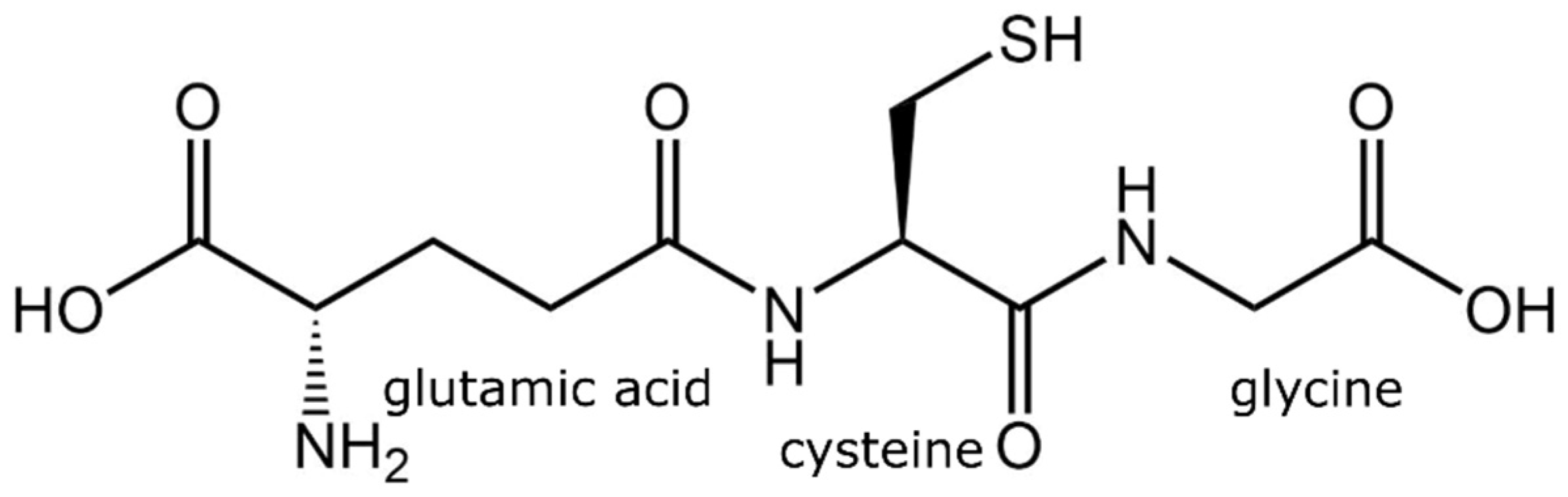 Metabolites 13 00465 g003 Metabolites 13 00465 g003