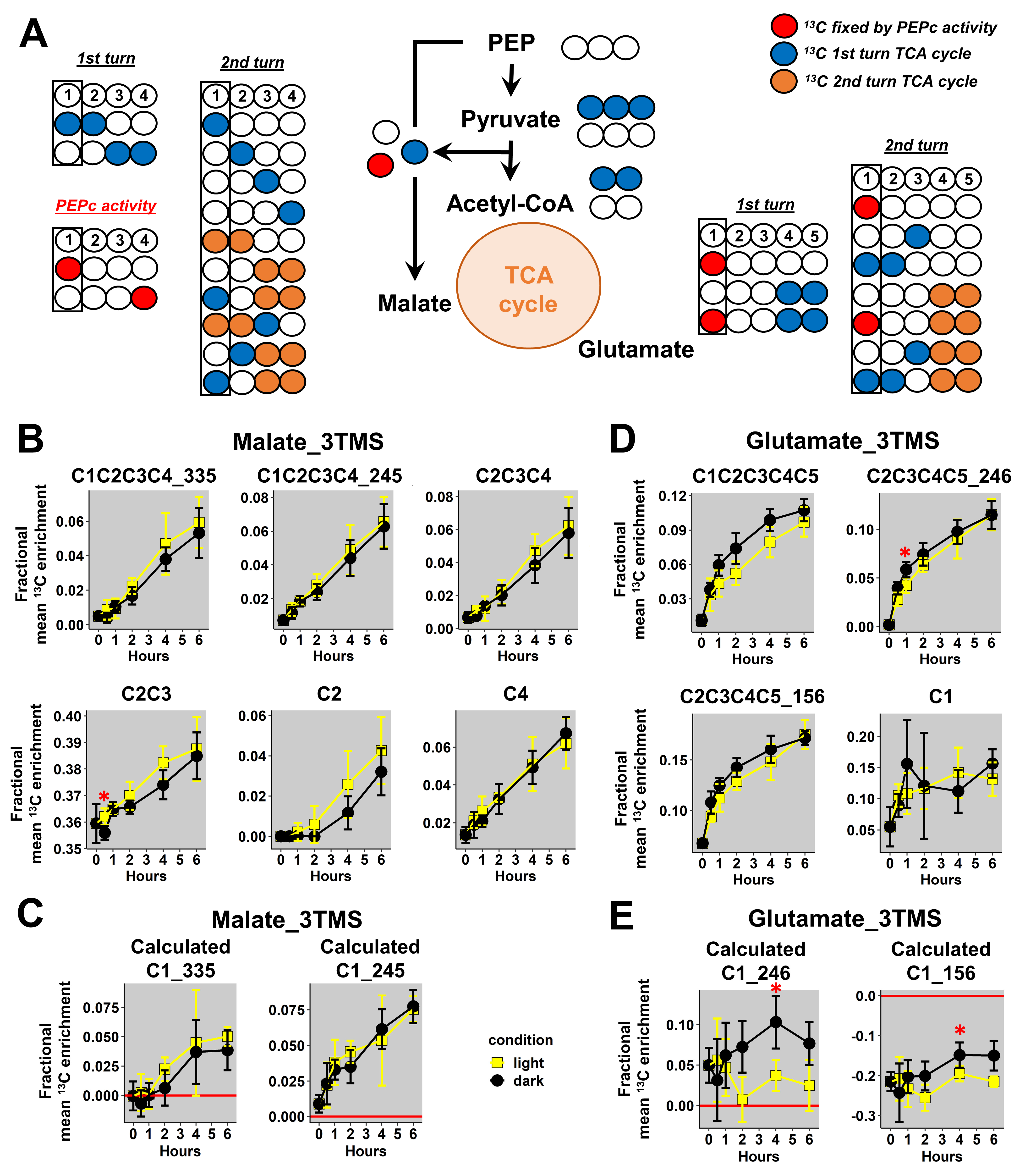 Metabolites 13 00466 g005 Metabolites 13 00466 g005