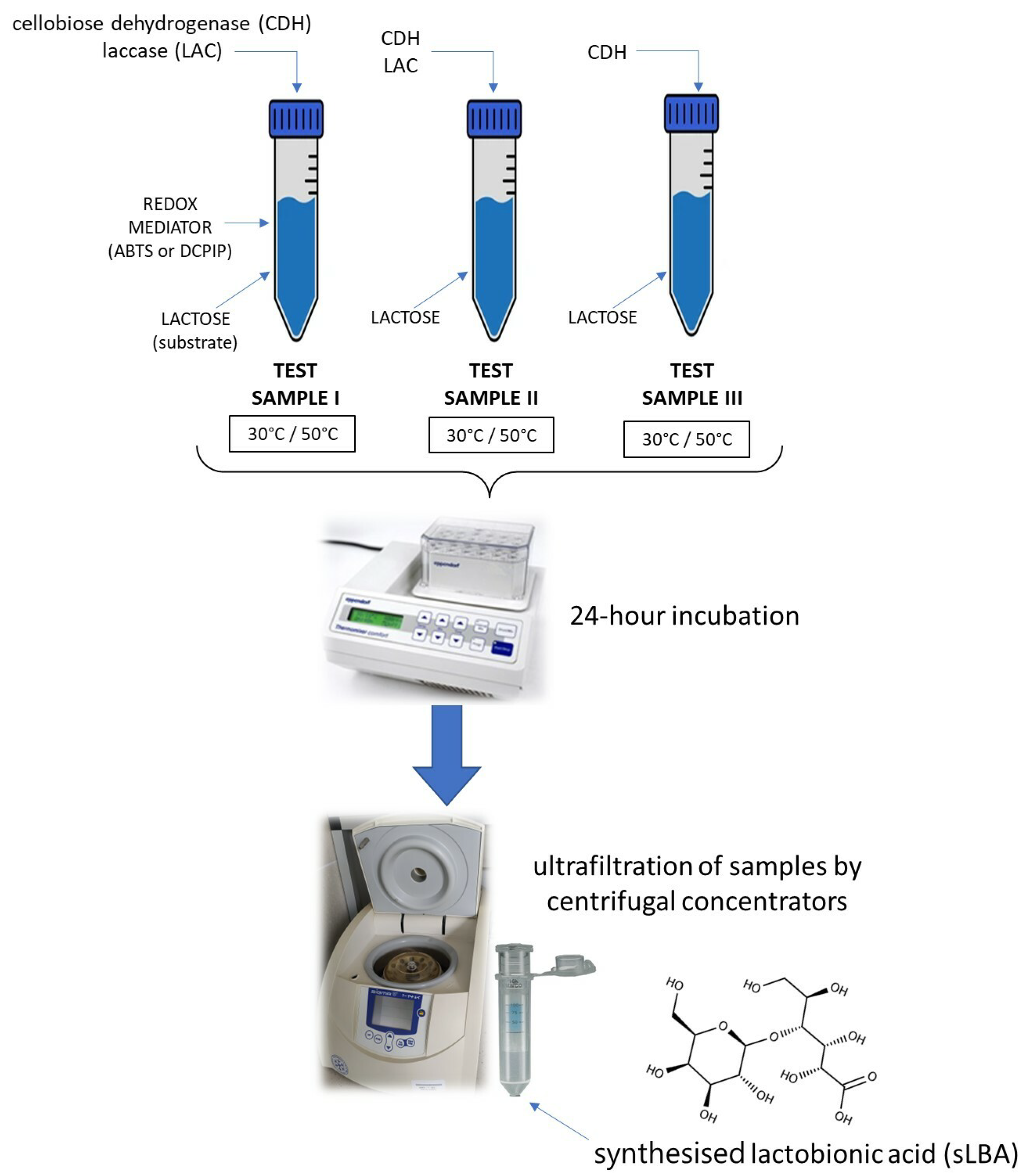 Metabolites 13 00469 g001