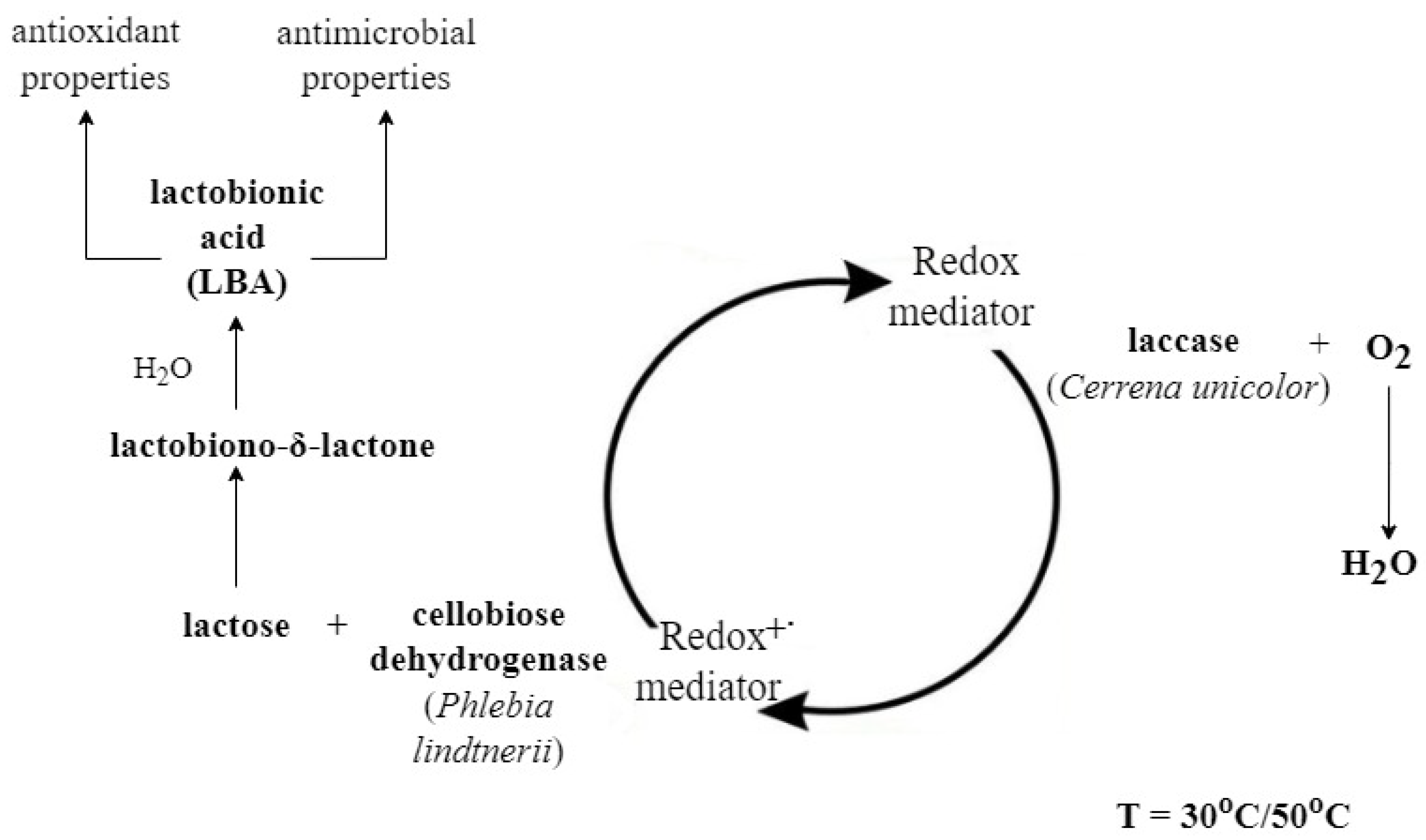 Metabolites 13 00469 g004