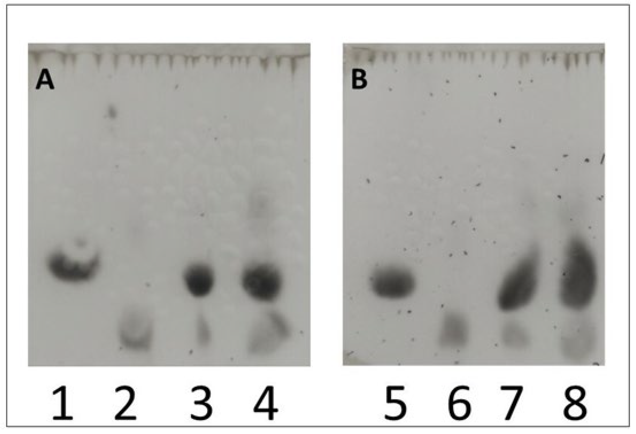 Metabolites 13 00469 g005