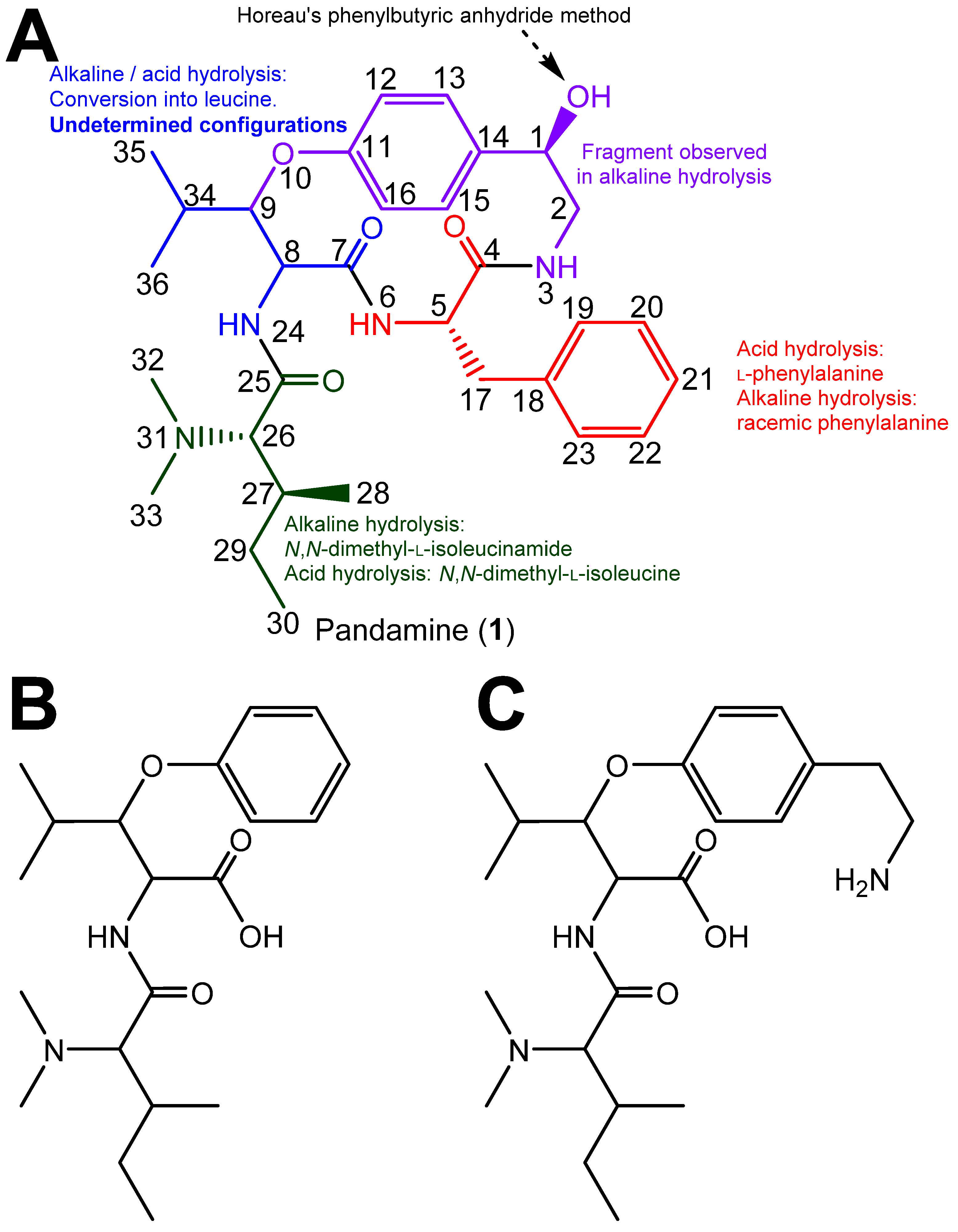 Metabolites 13 00470 g001