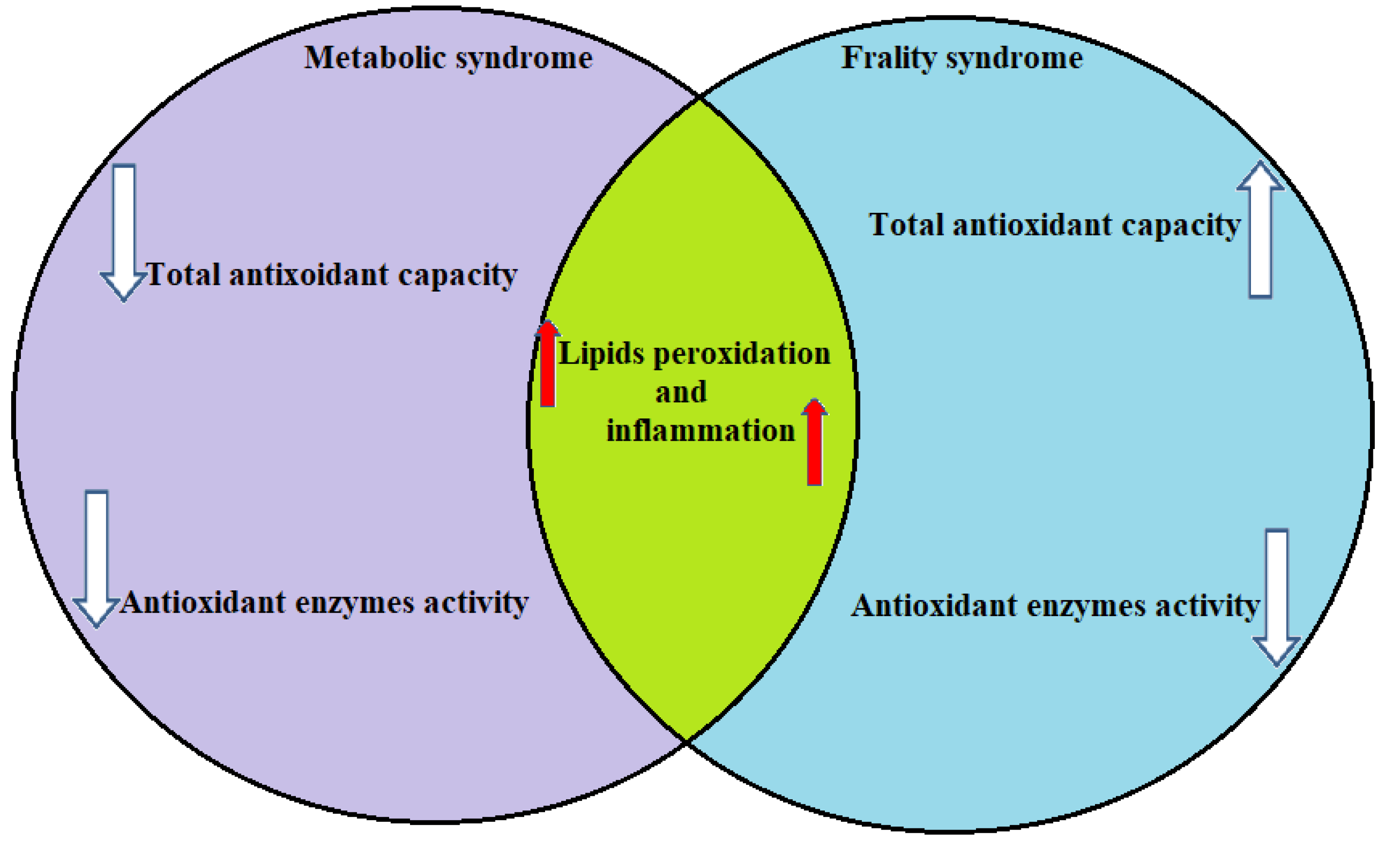 Metabolites 13 00475 g002