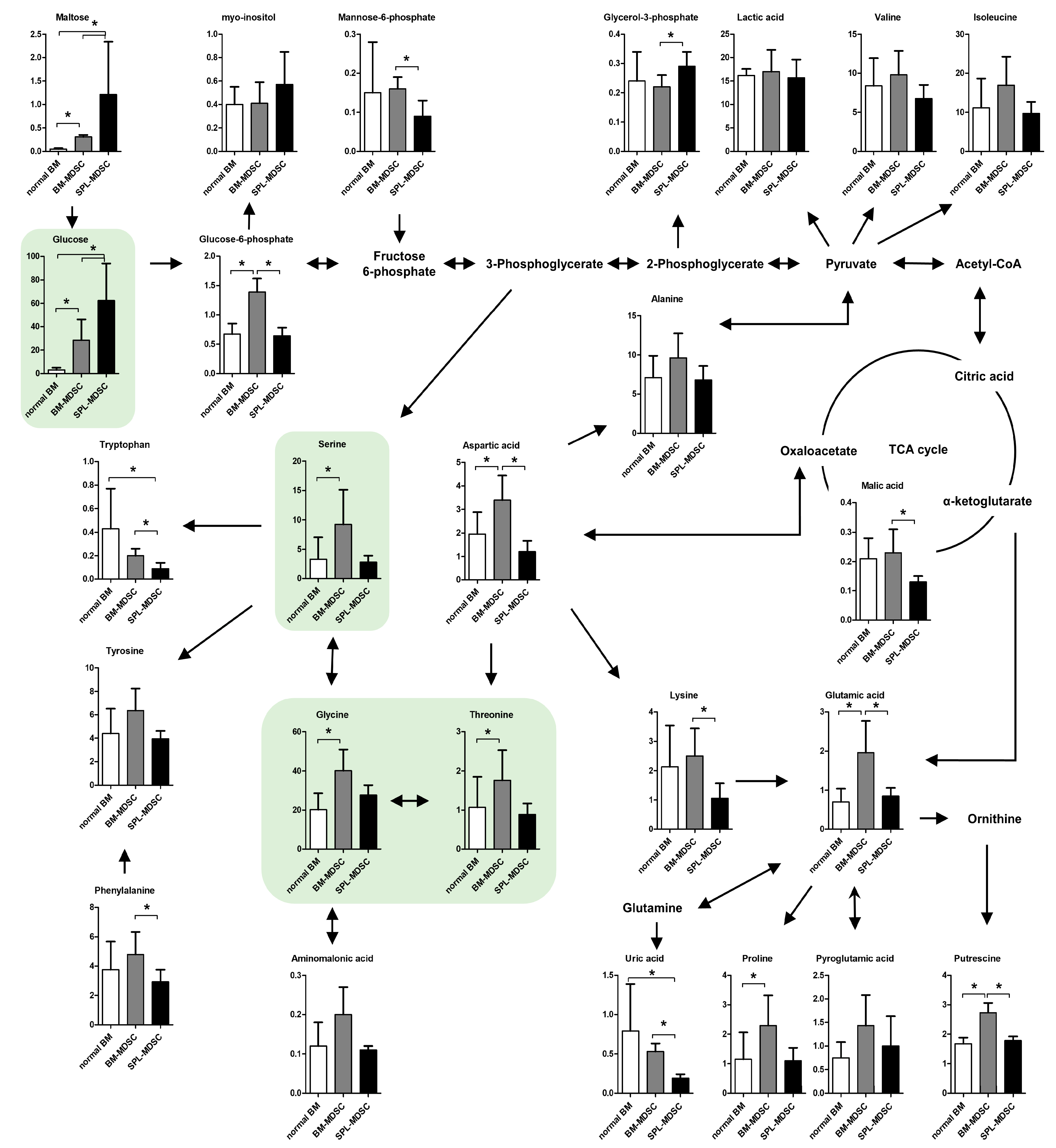 Metabolites 13 00477 g001