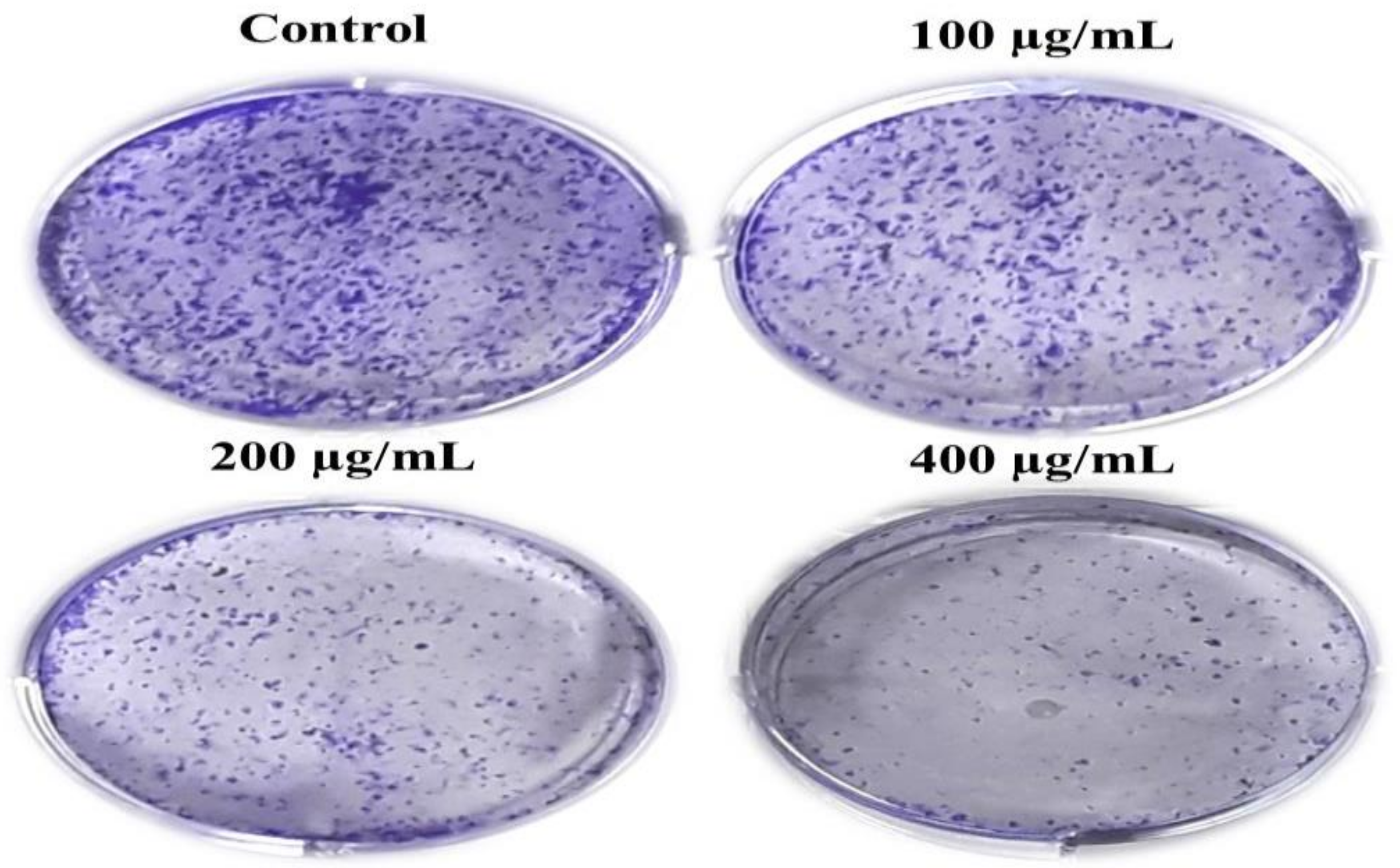 Metabolites 13 00480 g003