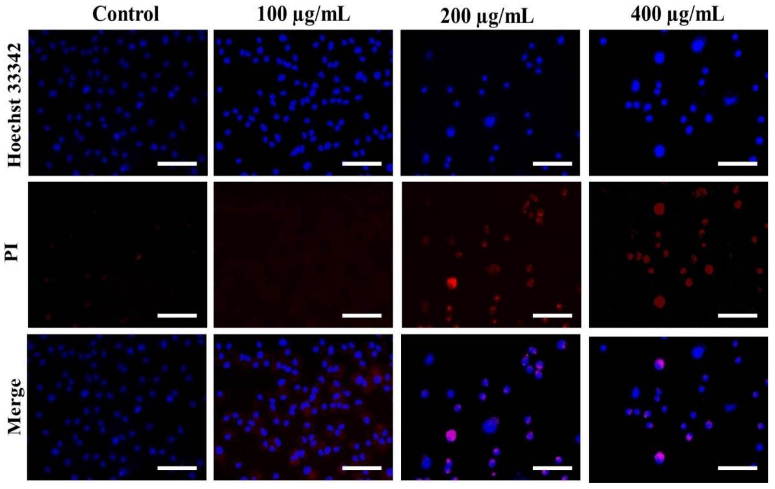 Metabolites 13 00480 g004