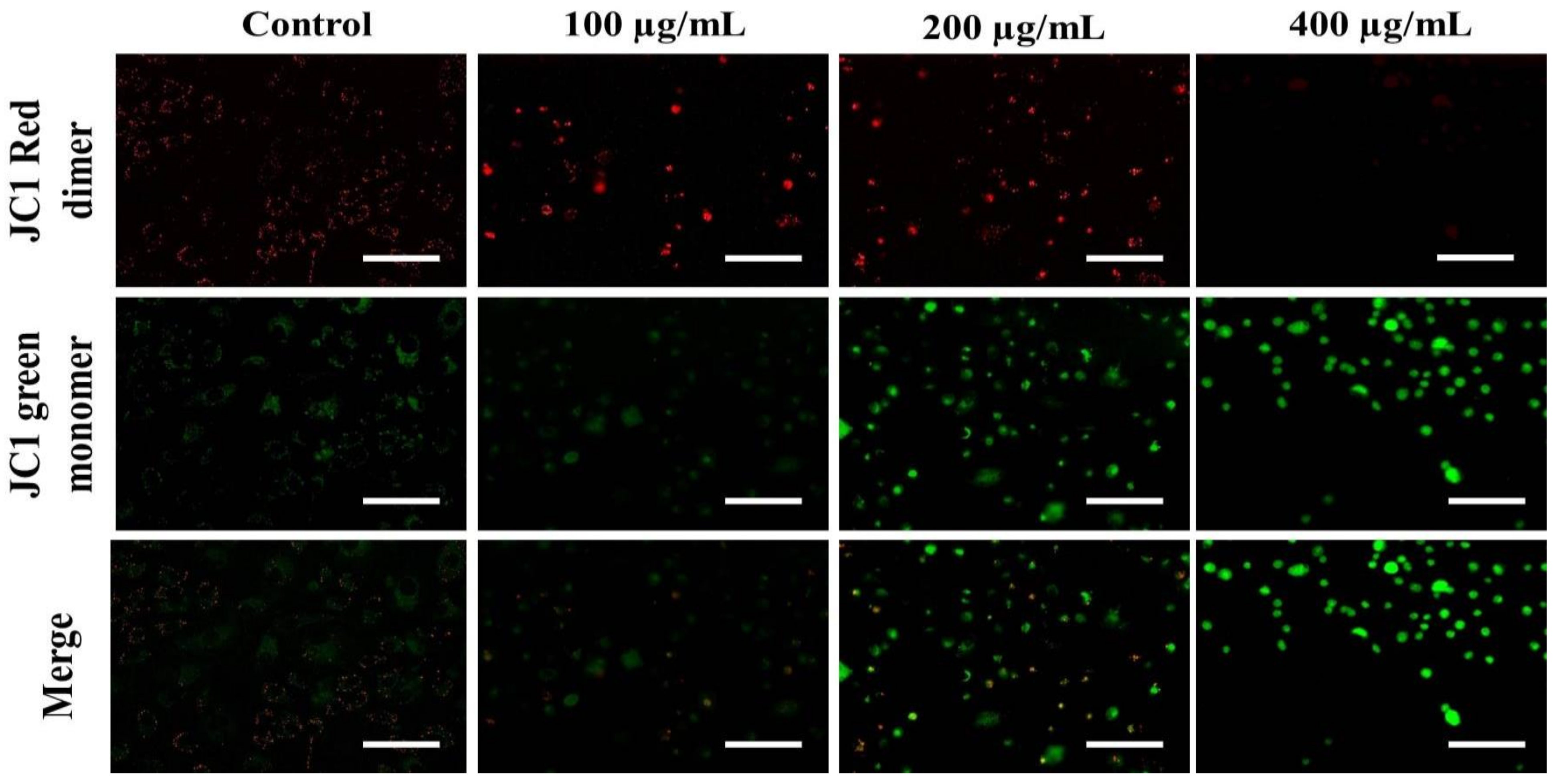 Metabolites 13 00480 g008