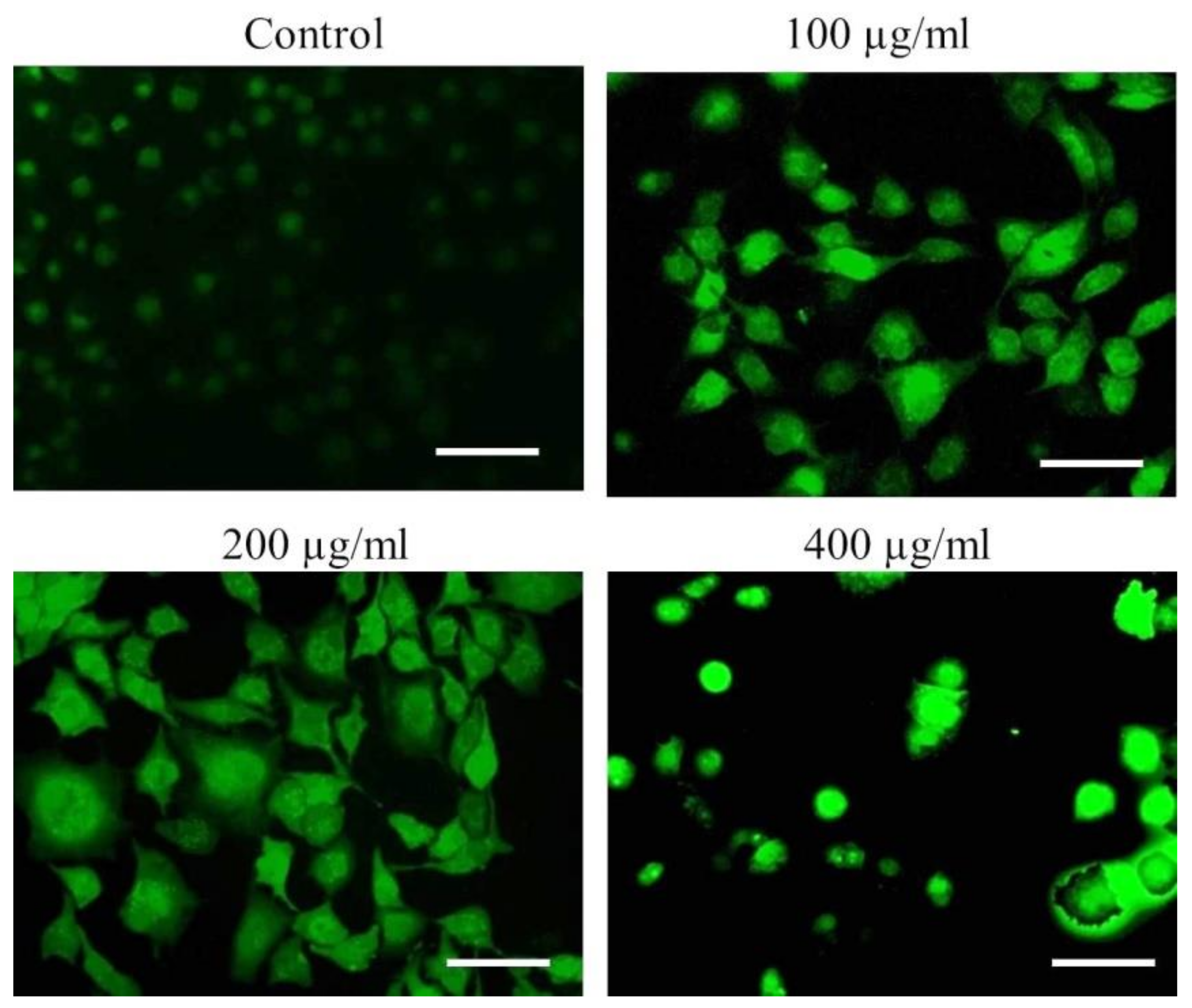 Metabolites 13 00480 g010