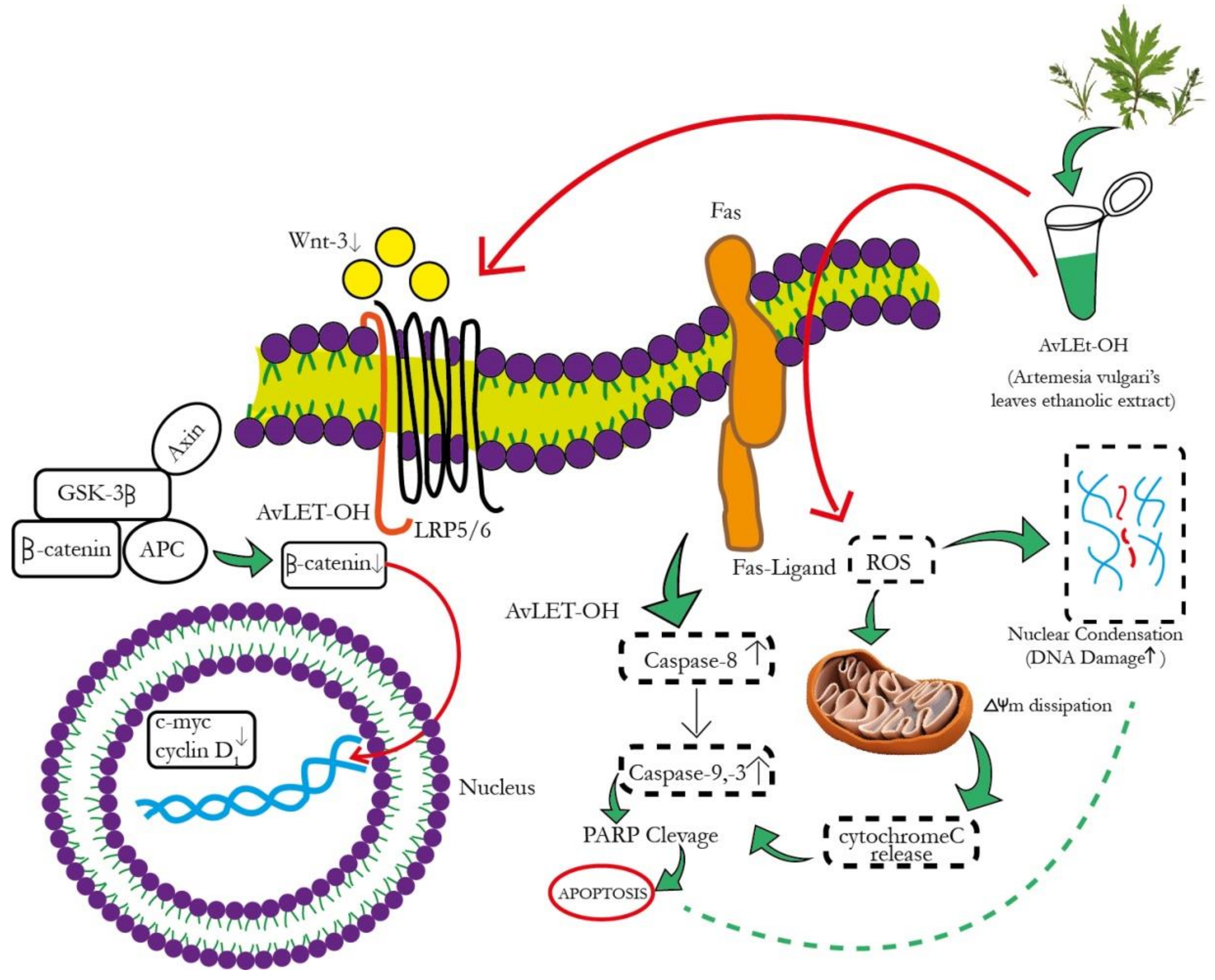 Metabolites 13 00480 g013
