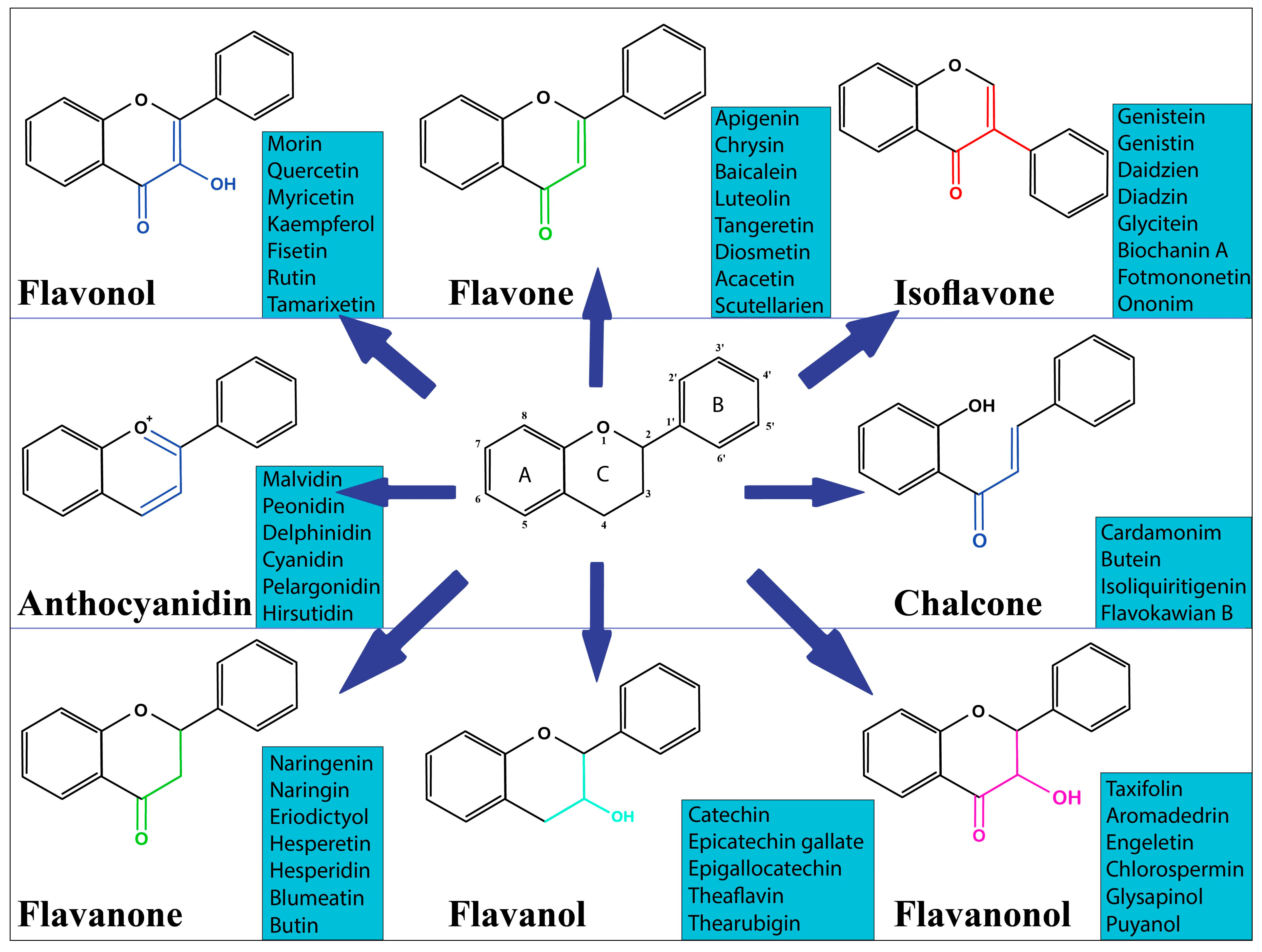 Metabolites 13 00481 g001