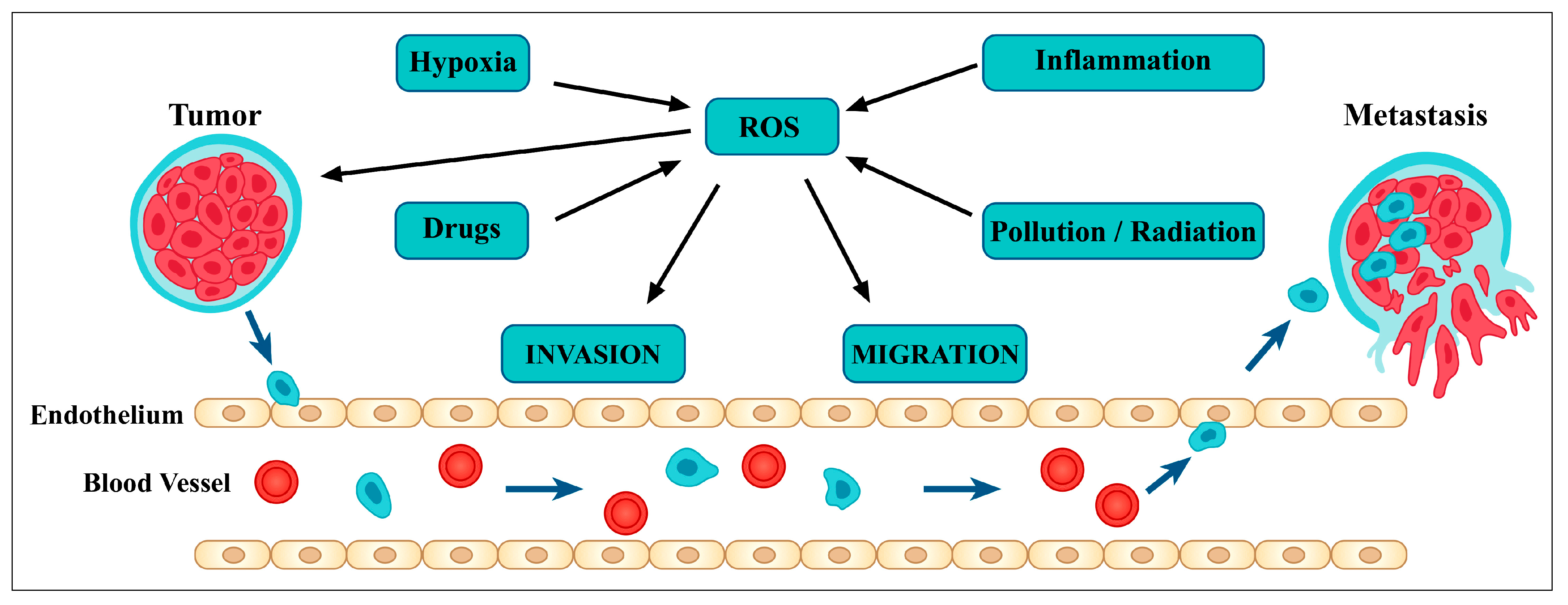 Metabolites 13 00481 g003