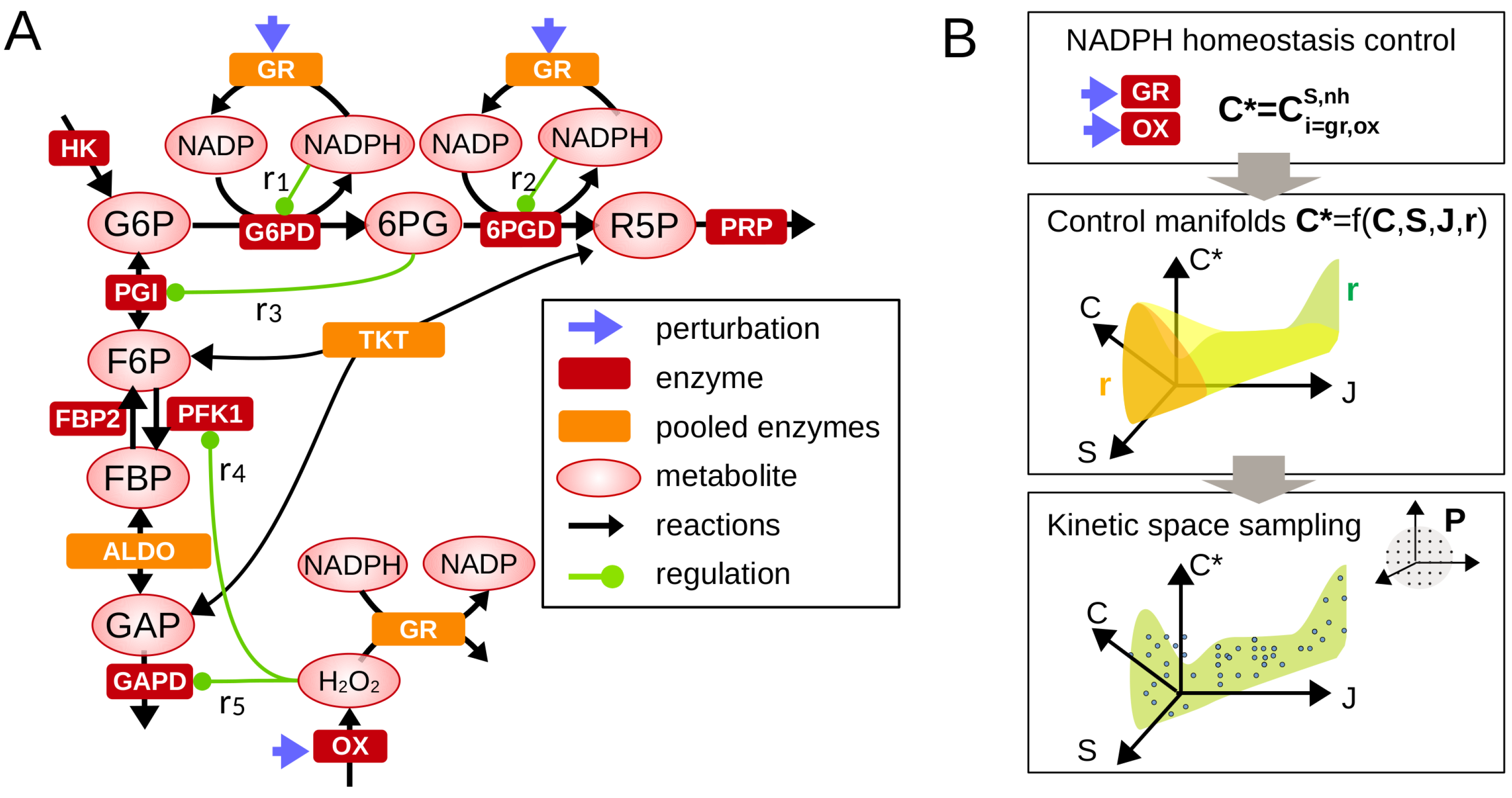 Metabolites 13 00485 g001